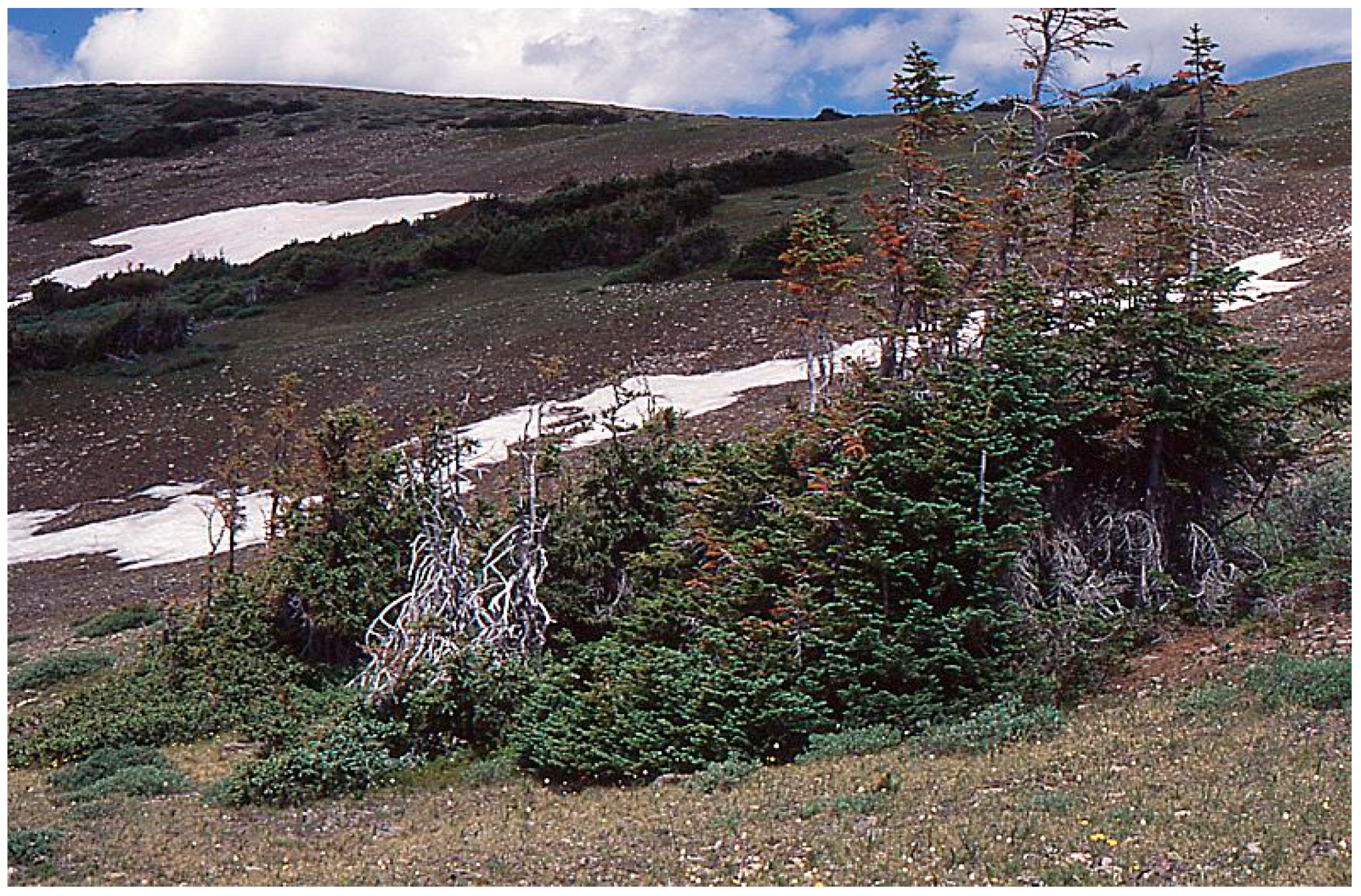 Sustainability 09 00808 g005 550