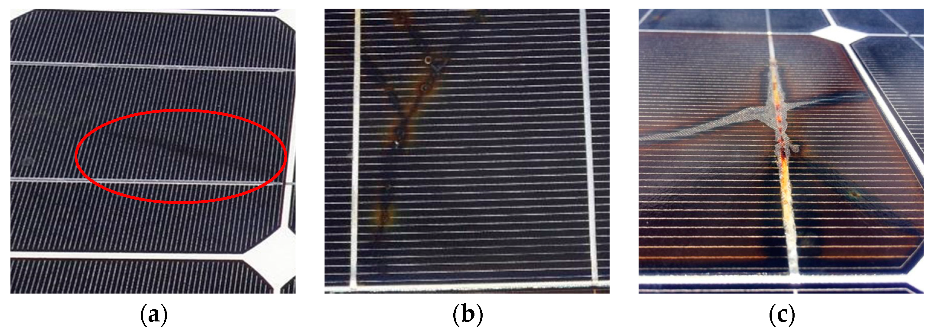 Sustainability 09 00965 g001a 550