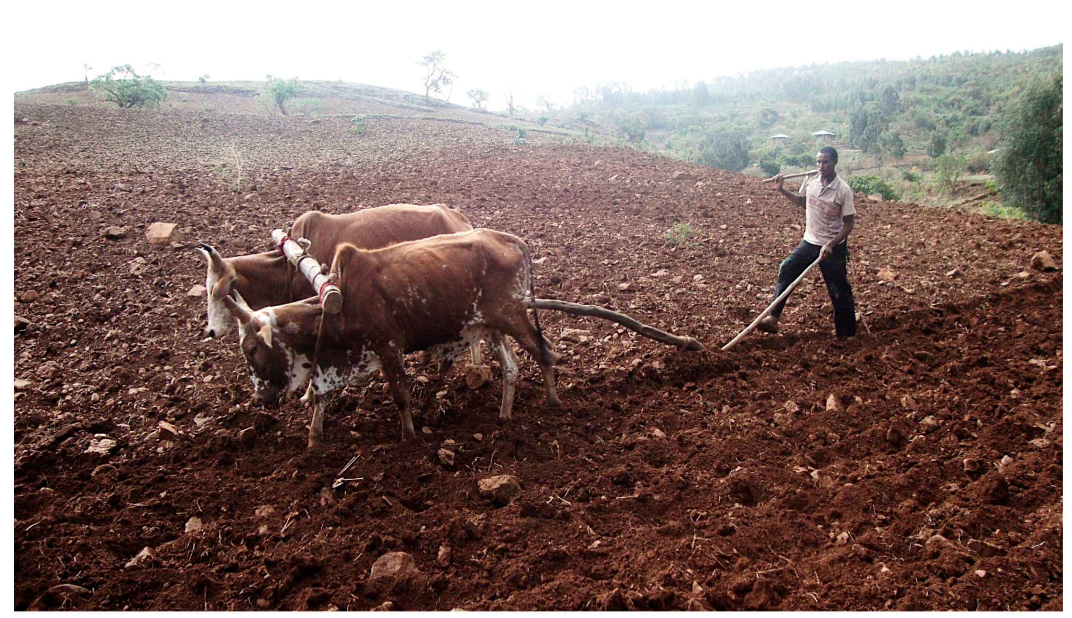 Sustainability 09 01041 g003 550