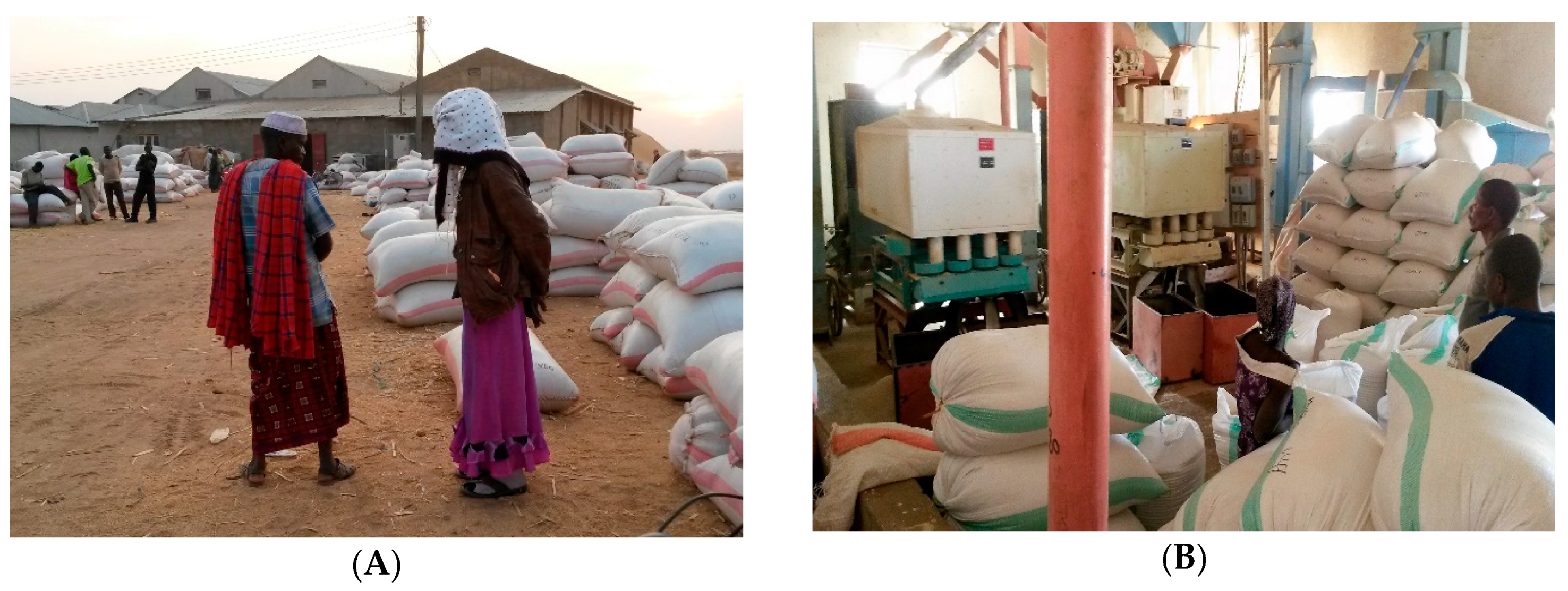 Sustainability 09 01081 g004 550