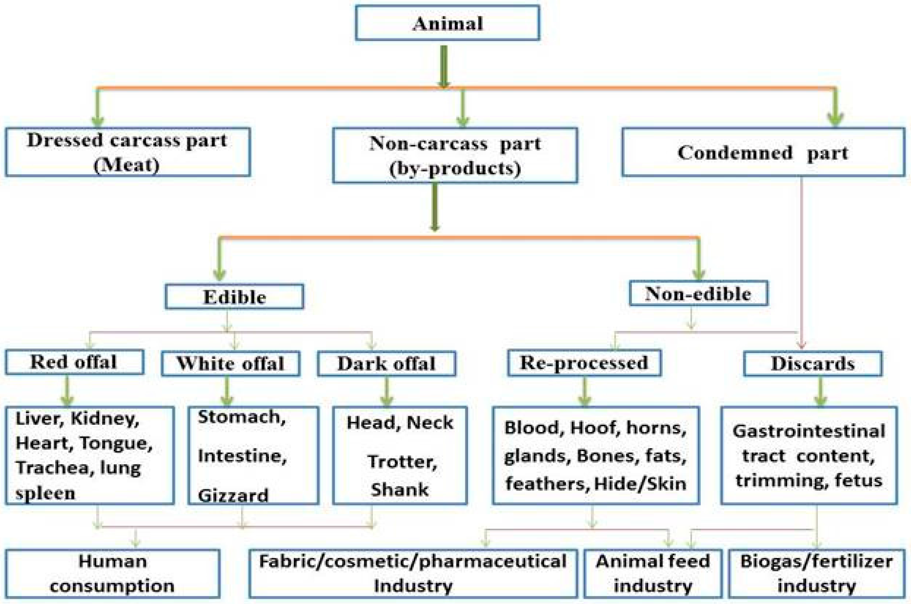 Sustainability | Free Full-Text | The Potential of Animal By-Products in  Food Systems: Production, Prospects and Challenges