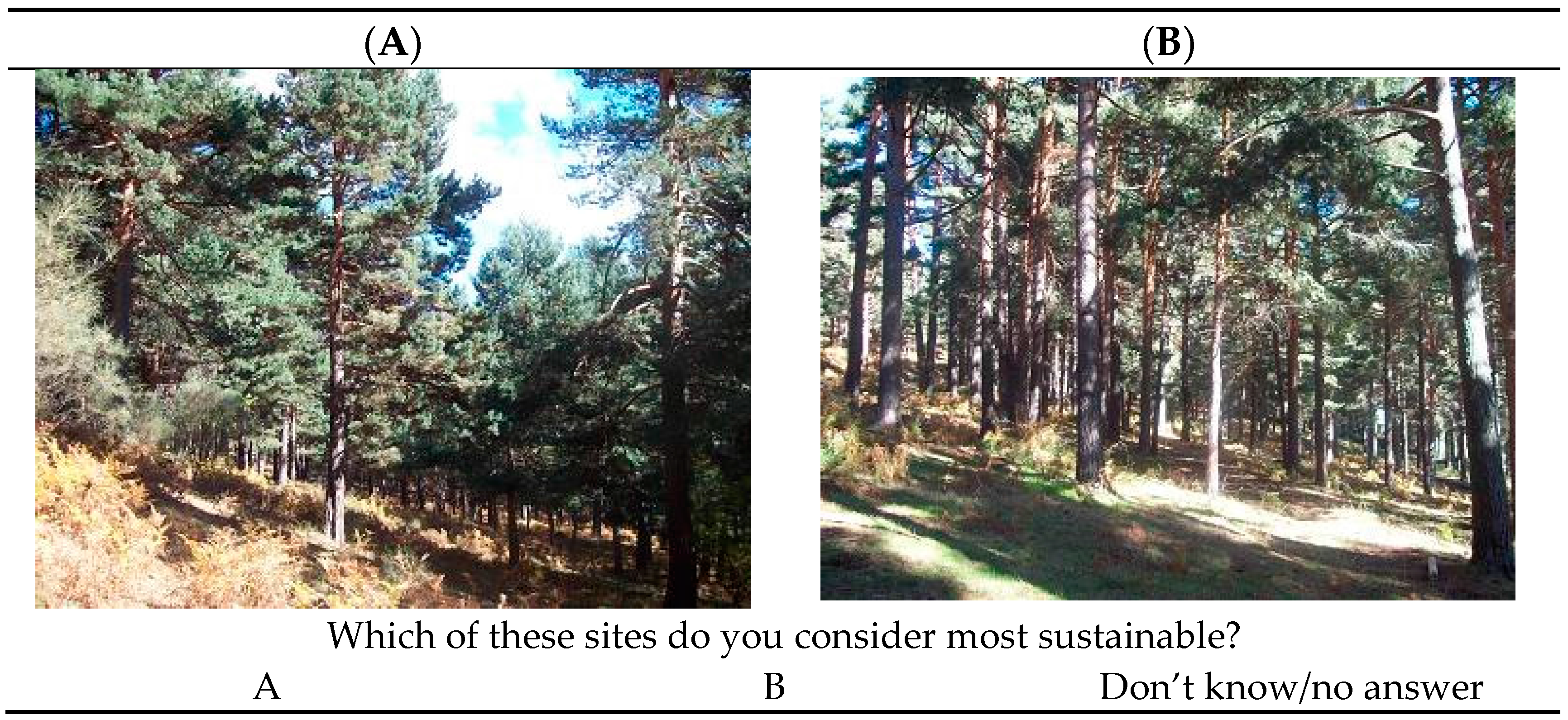 Sustainability 09 01200 g002 550