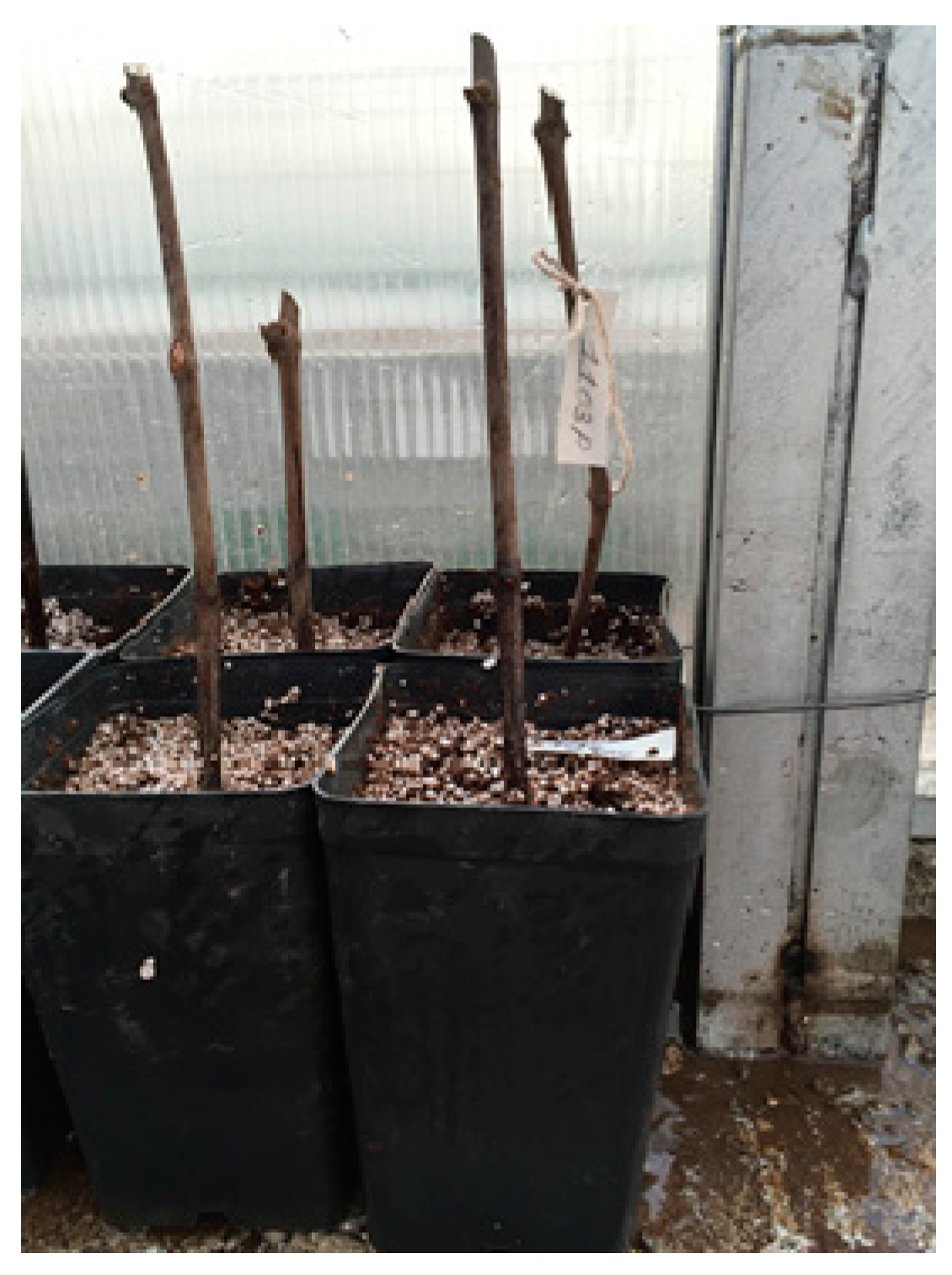 Sustainability 09 01275 g002 550