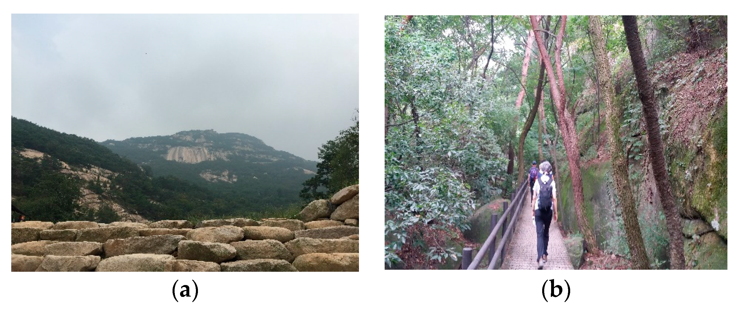 Sustainability 09 01306 g006