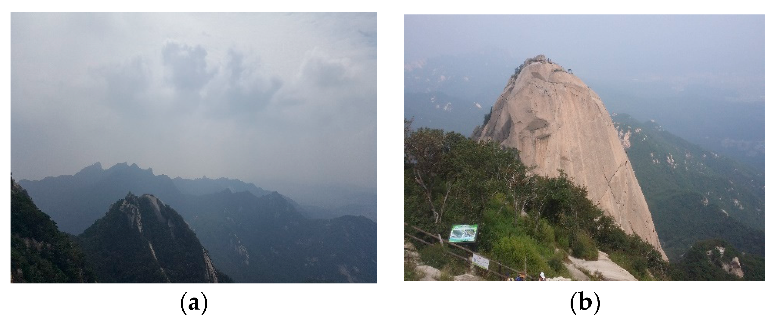 Sustainability 09 01306 g007