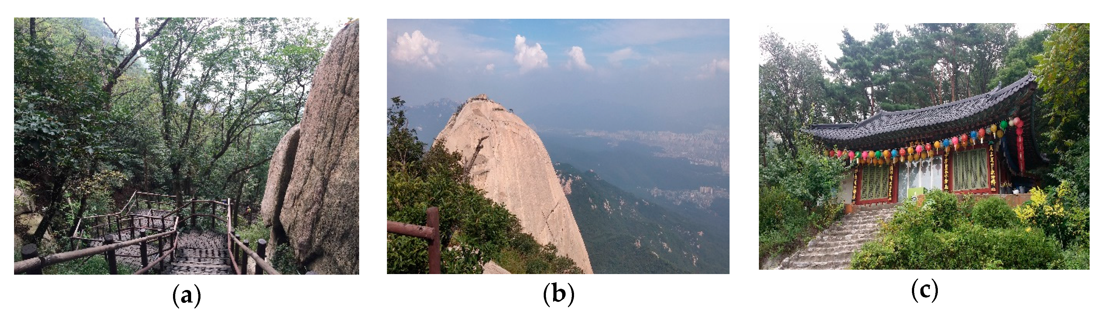 Sustainability 09 01306 g010