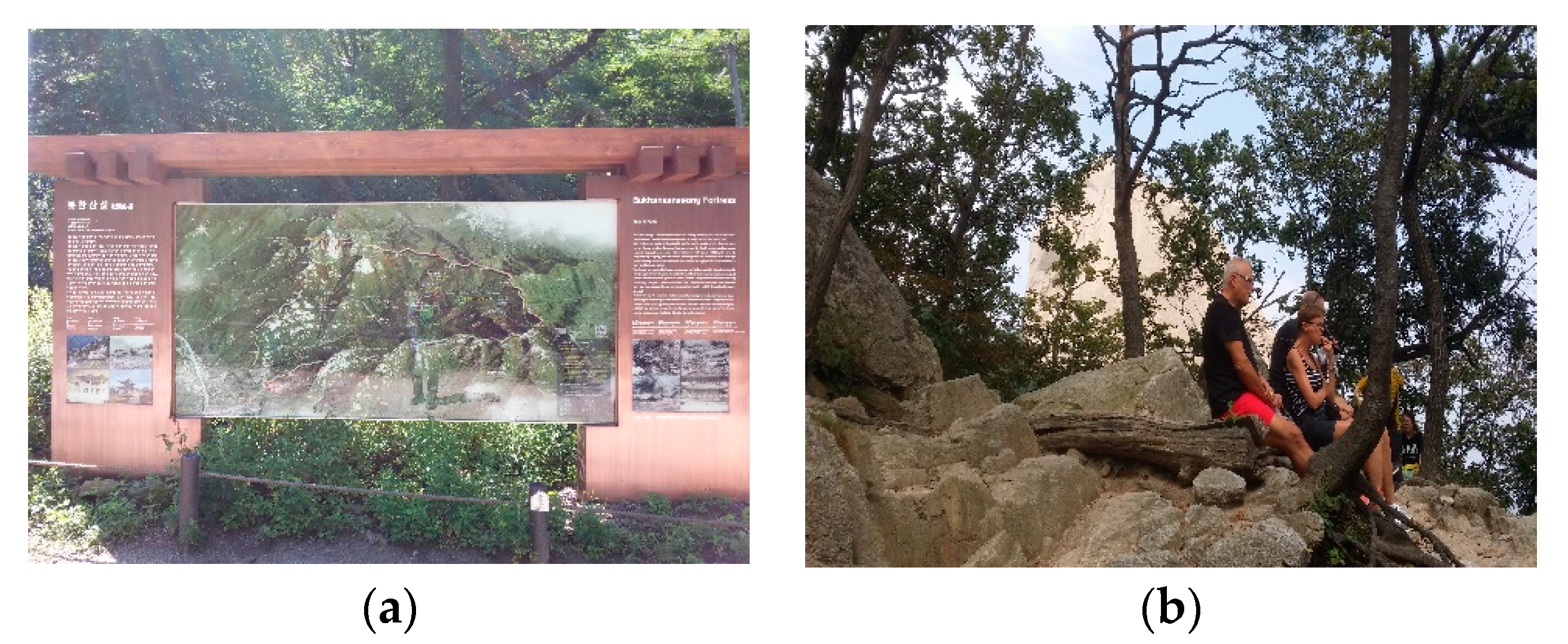 Sustainability 09 01306 g011