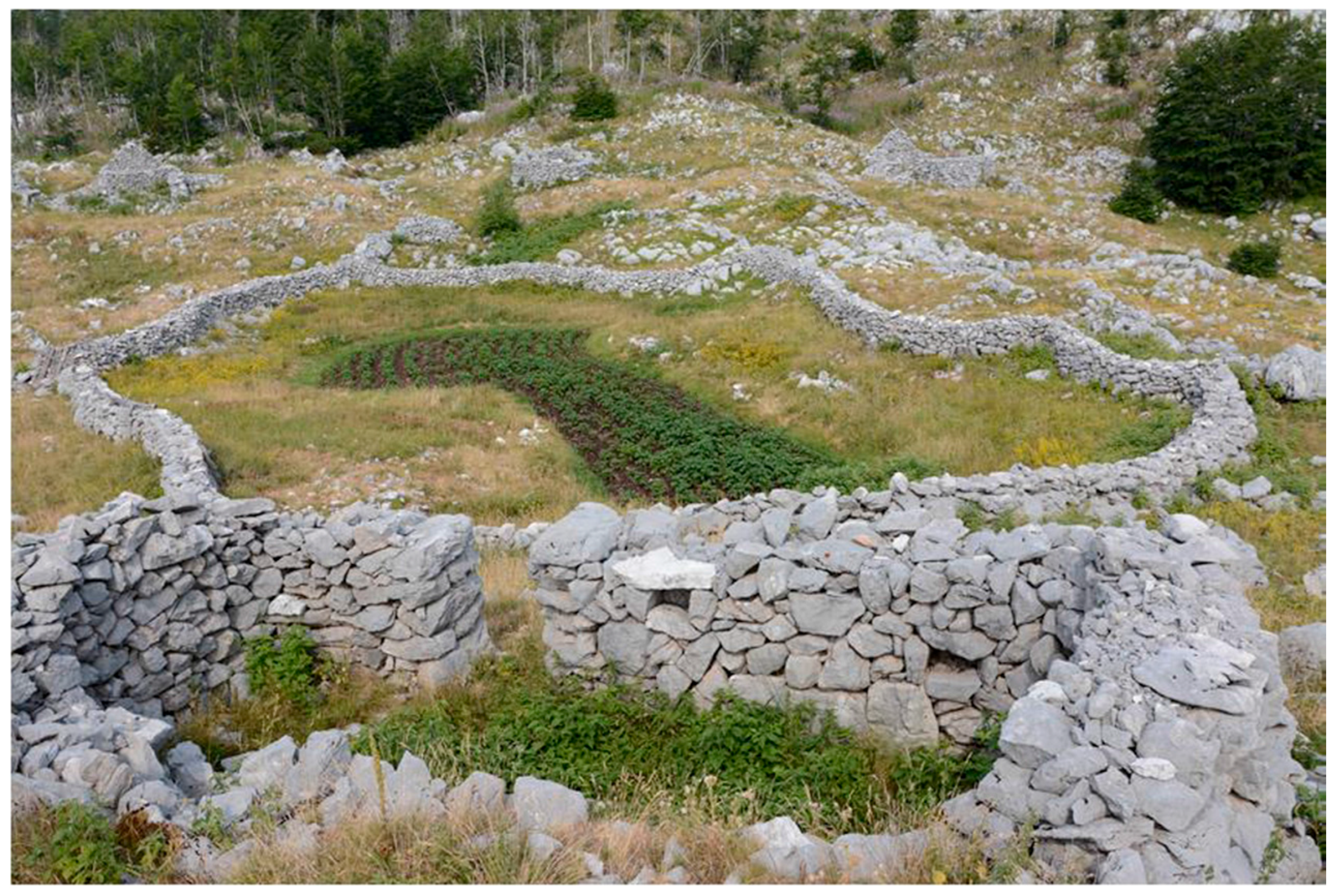 Sustainability 09 01441 g005 550