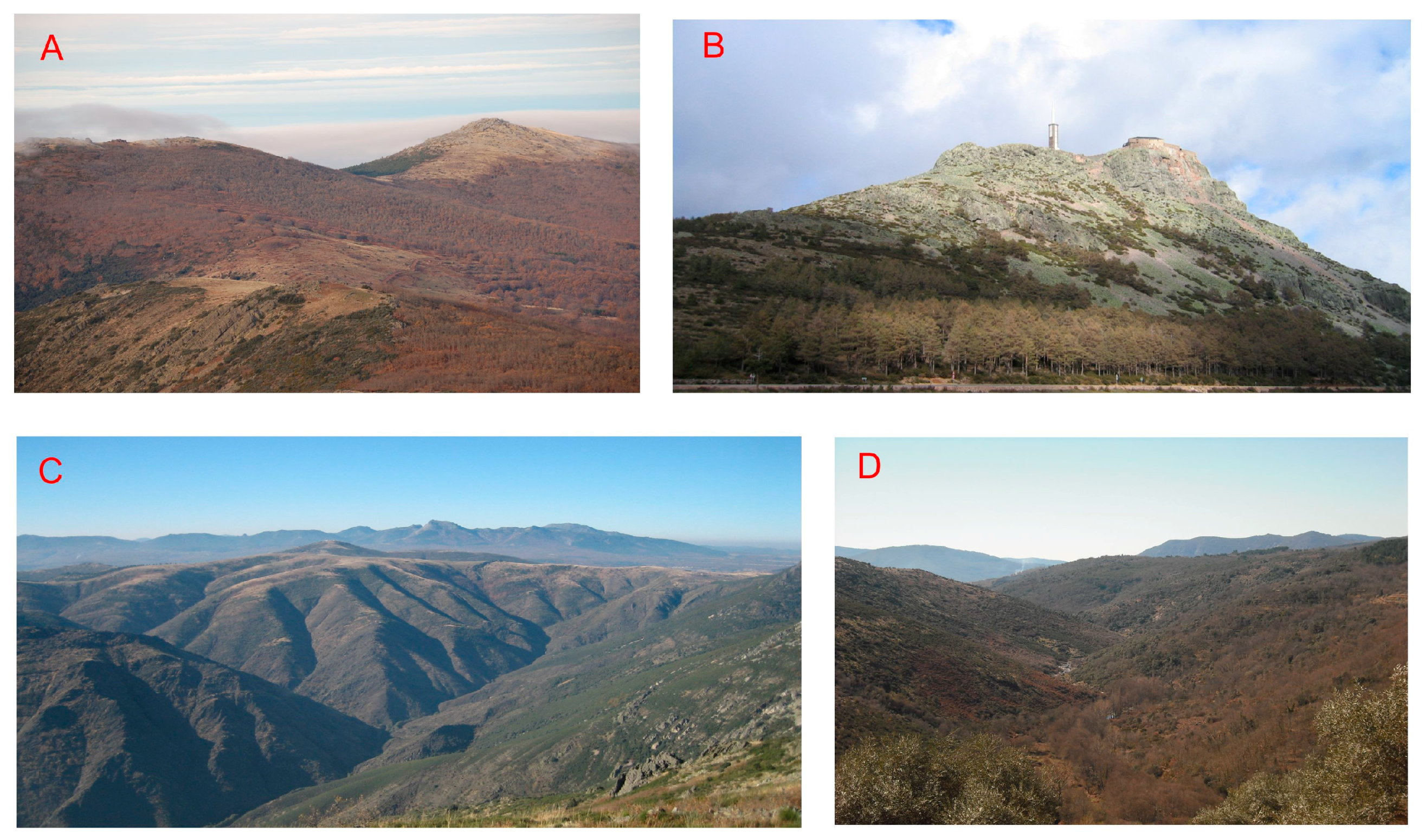 Sustainability 09 01458 g007a 550