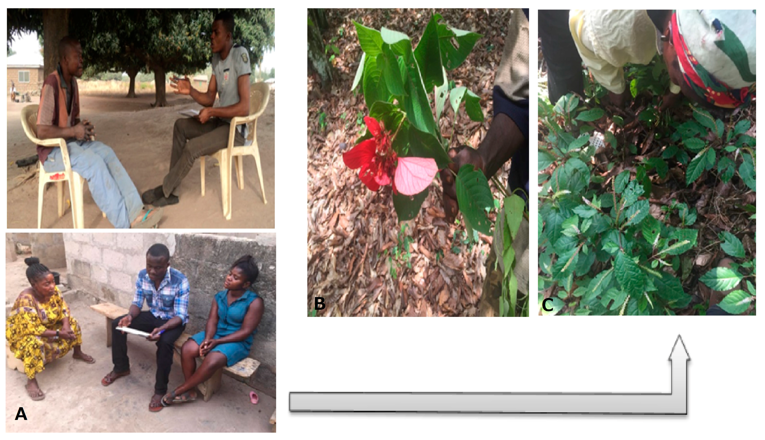 Sustainability 09 01468 g002