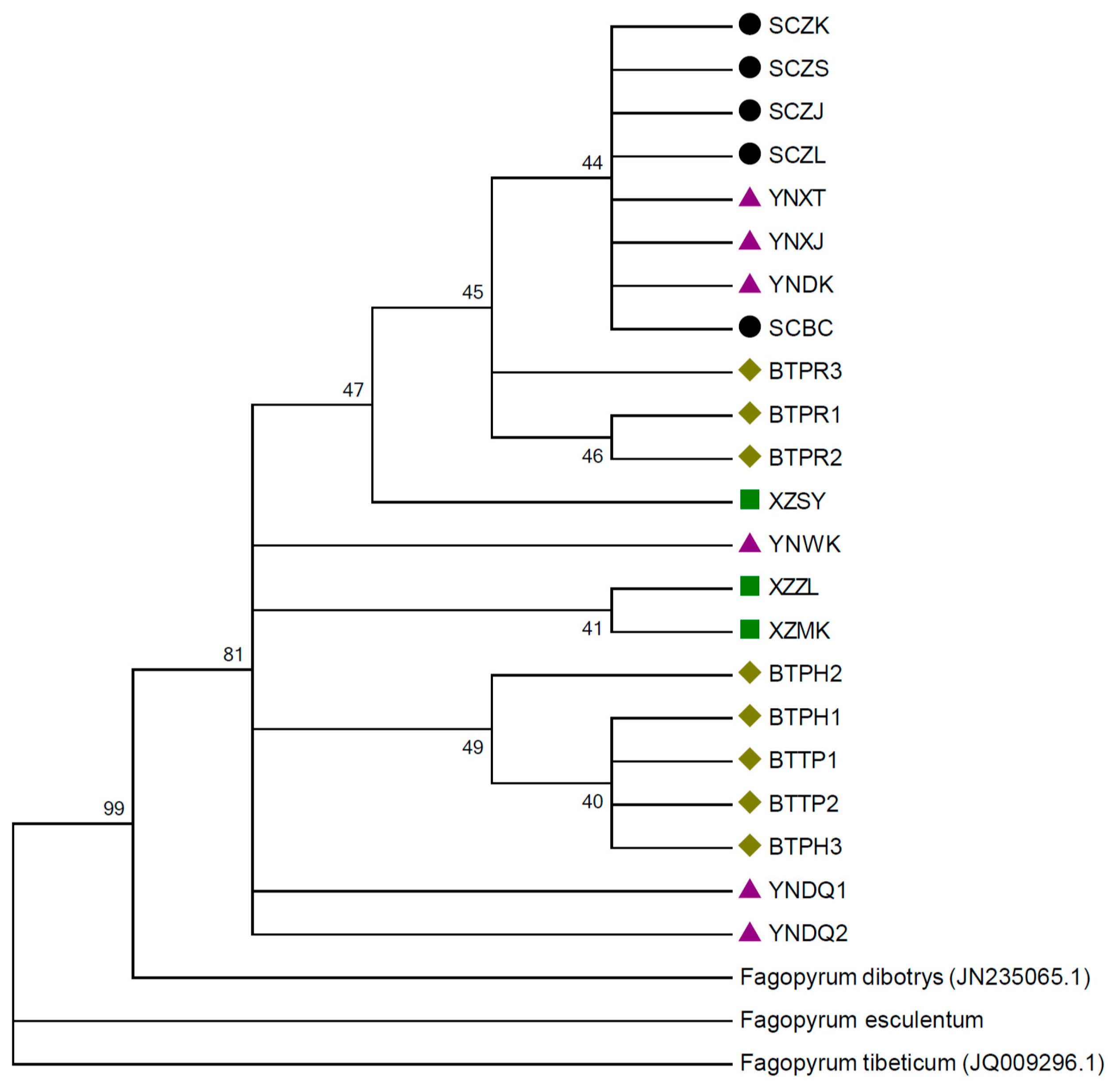 Sustainability 09 01806 g003 Sustainability 09 01806 g003