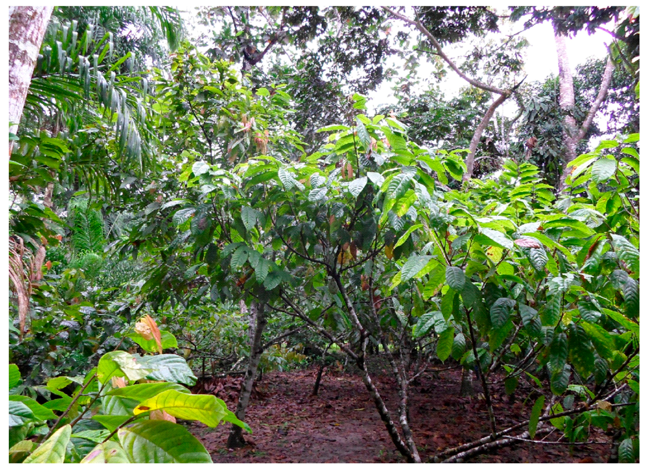 Sustainability 09 01920 g002 550