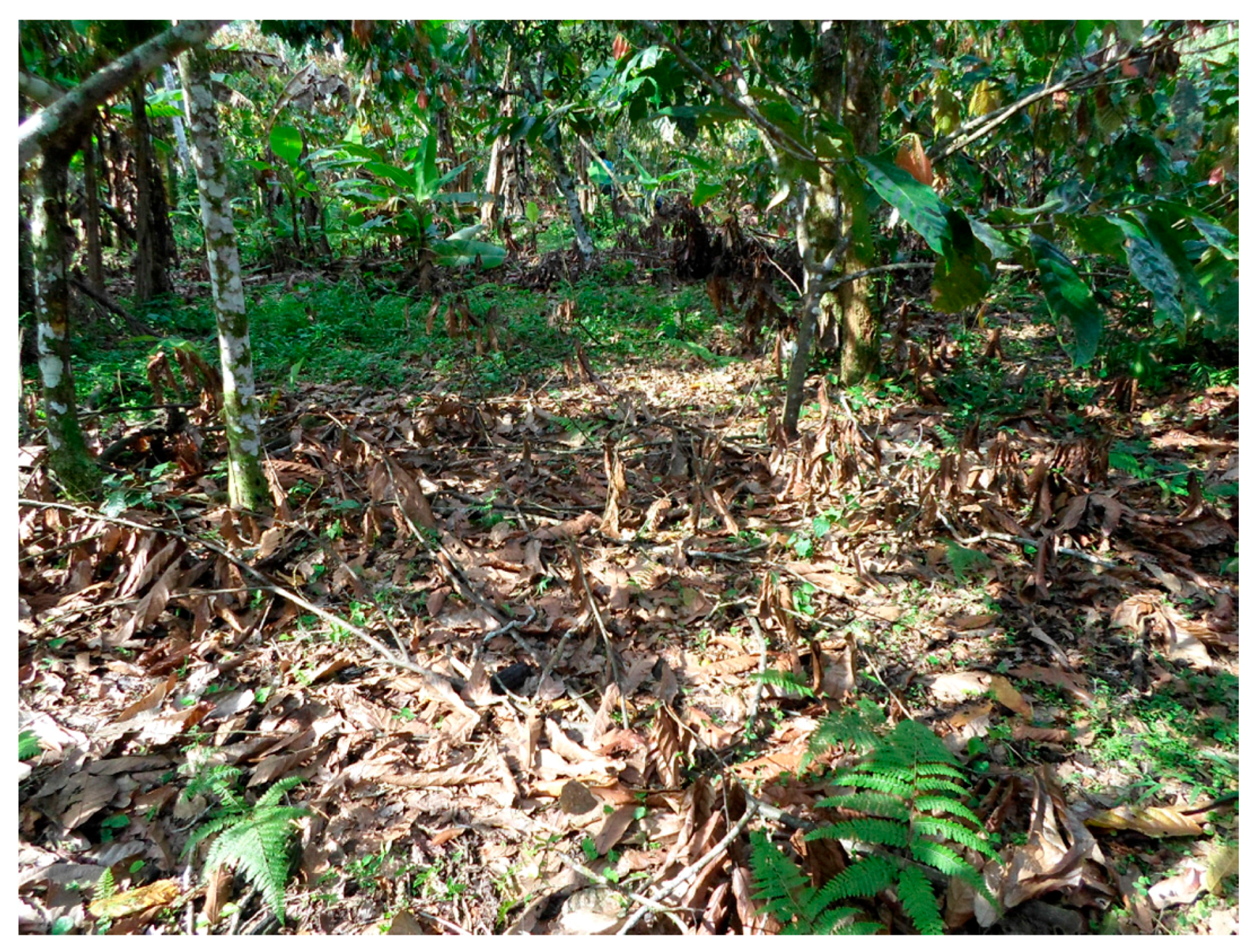 Sustainability 09 01920 g003 550