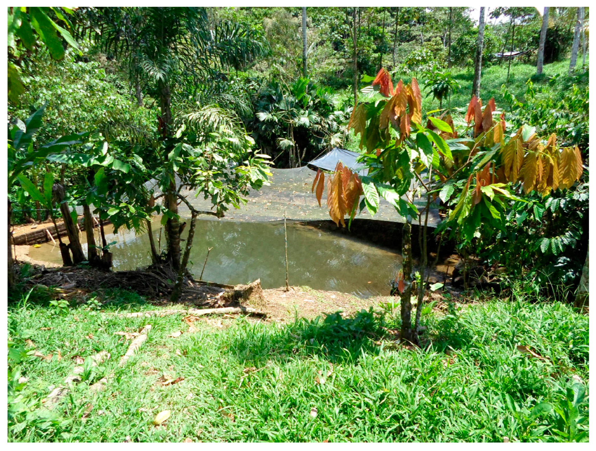 Sustainability 09 01920 g004 550