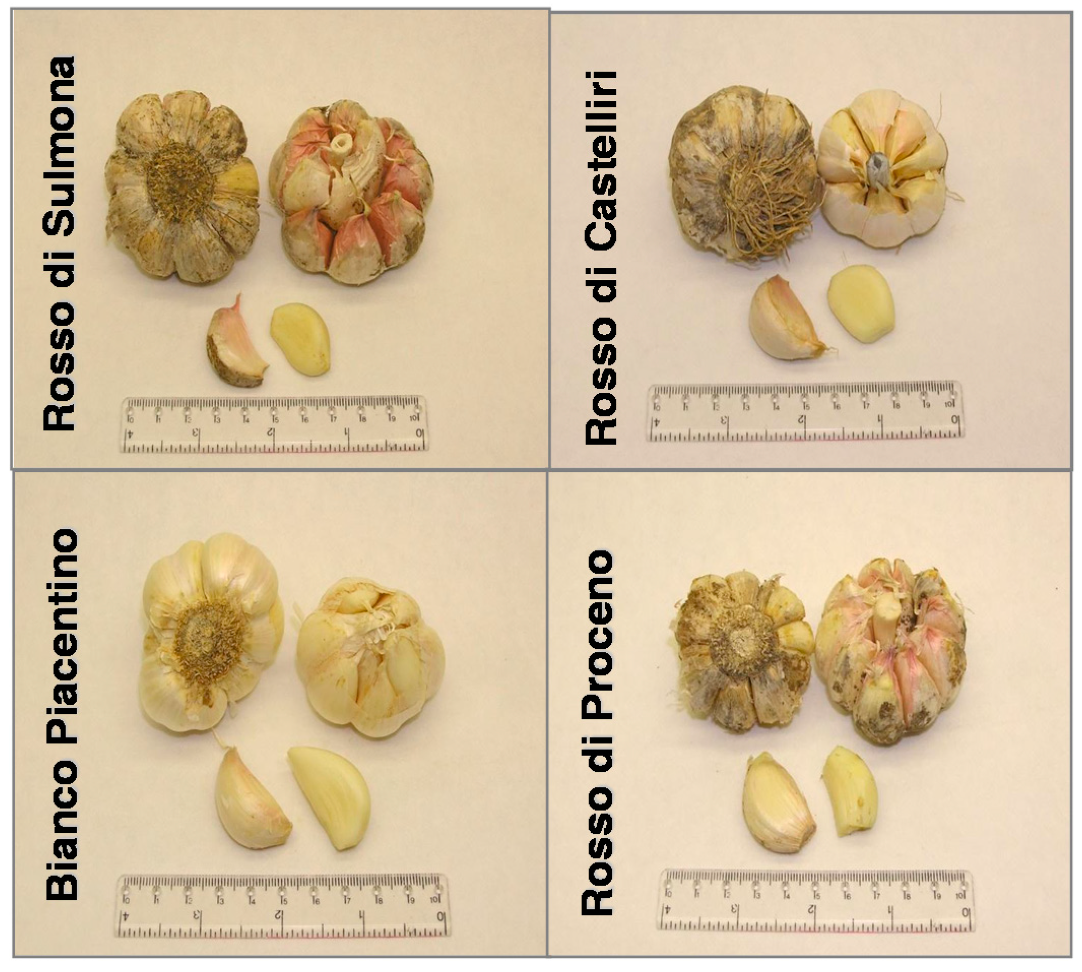 Sustainability 09 01922 g001