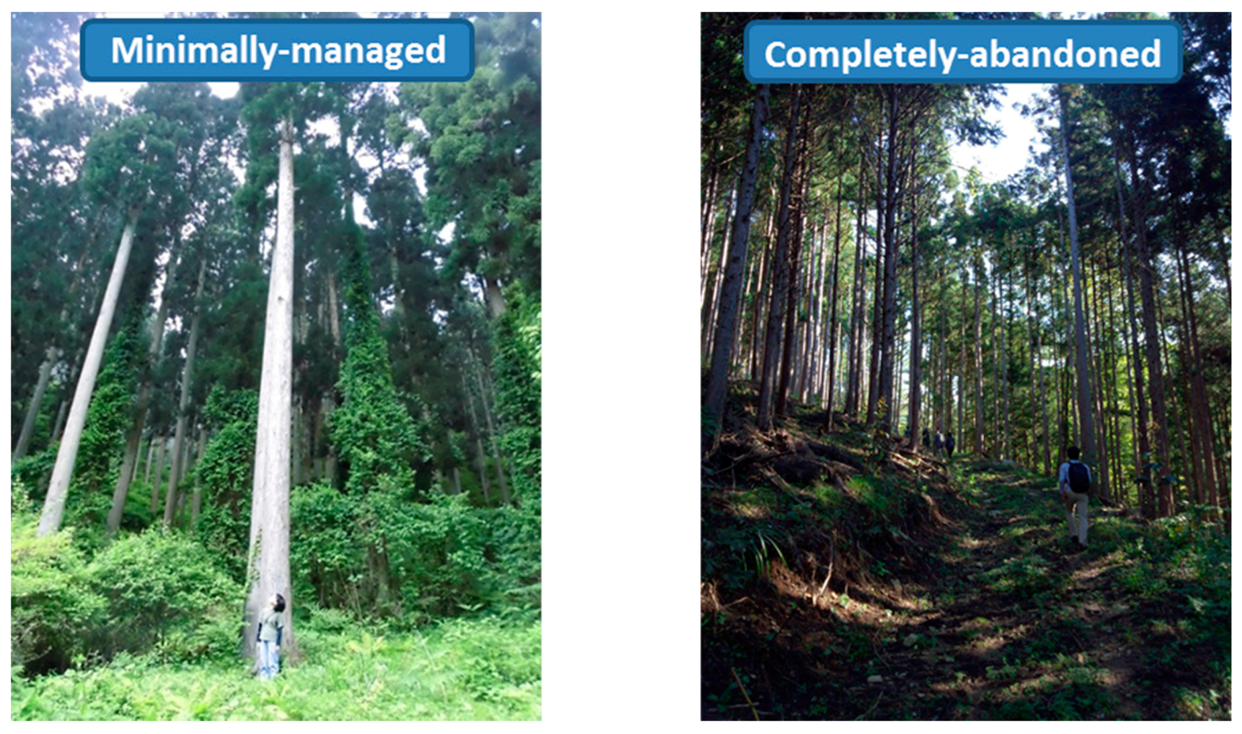 Sustainability 09 01949 g001