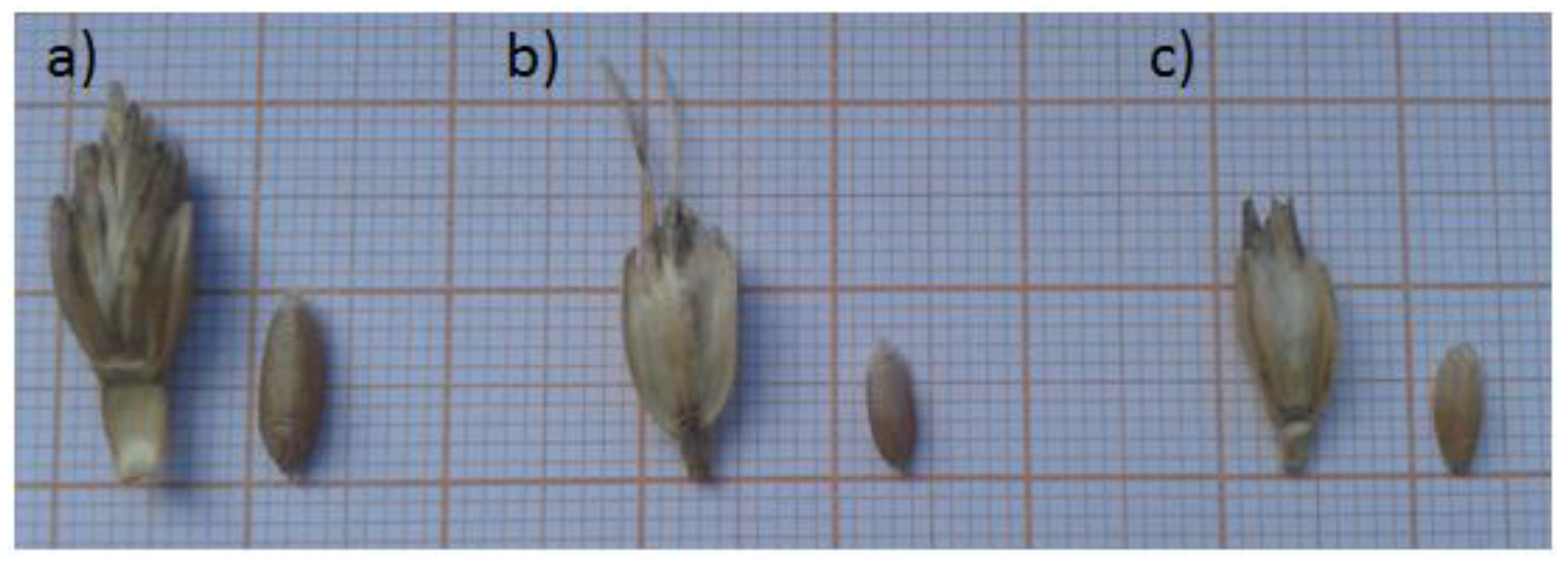 Sustainability 09 01970 g001 550