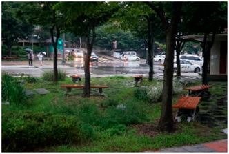 Sustainability 09 02067 i001