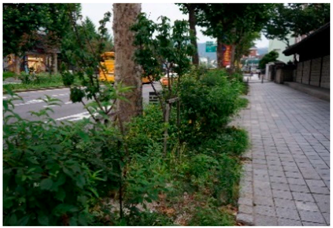 Sustainability 09 02067 i002