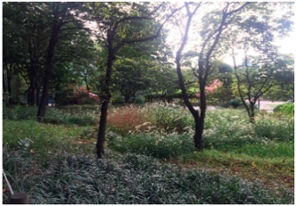 Sustainability 09 02067 i003