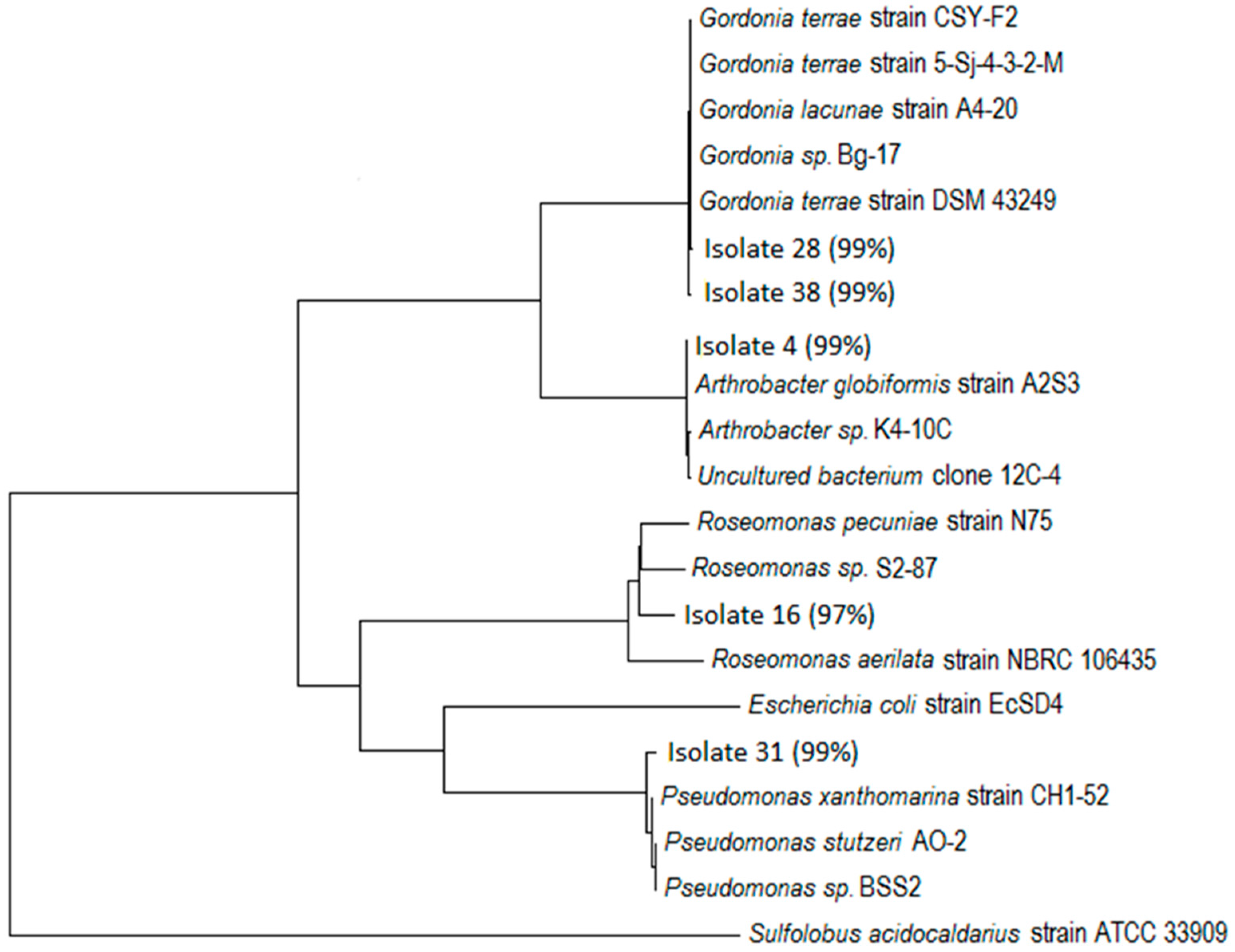 Sustainability 09 02095 g001 Sustainability 09 02095 g001