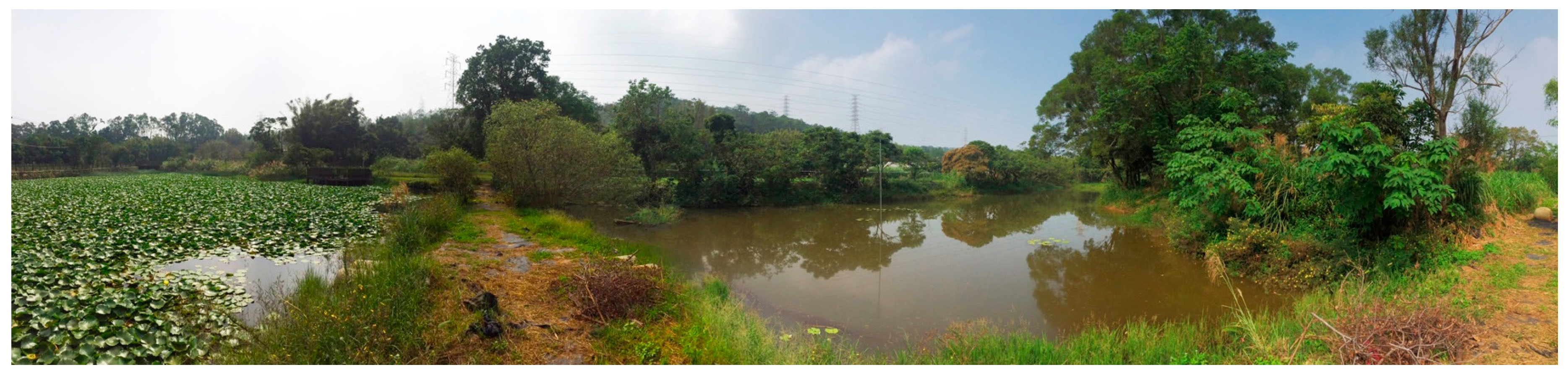 Sustainability 09 02097 g003