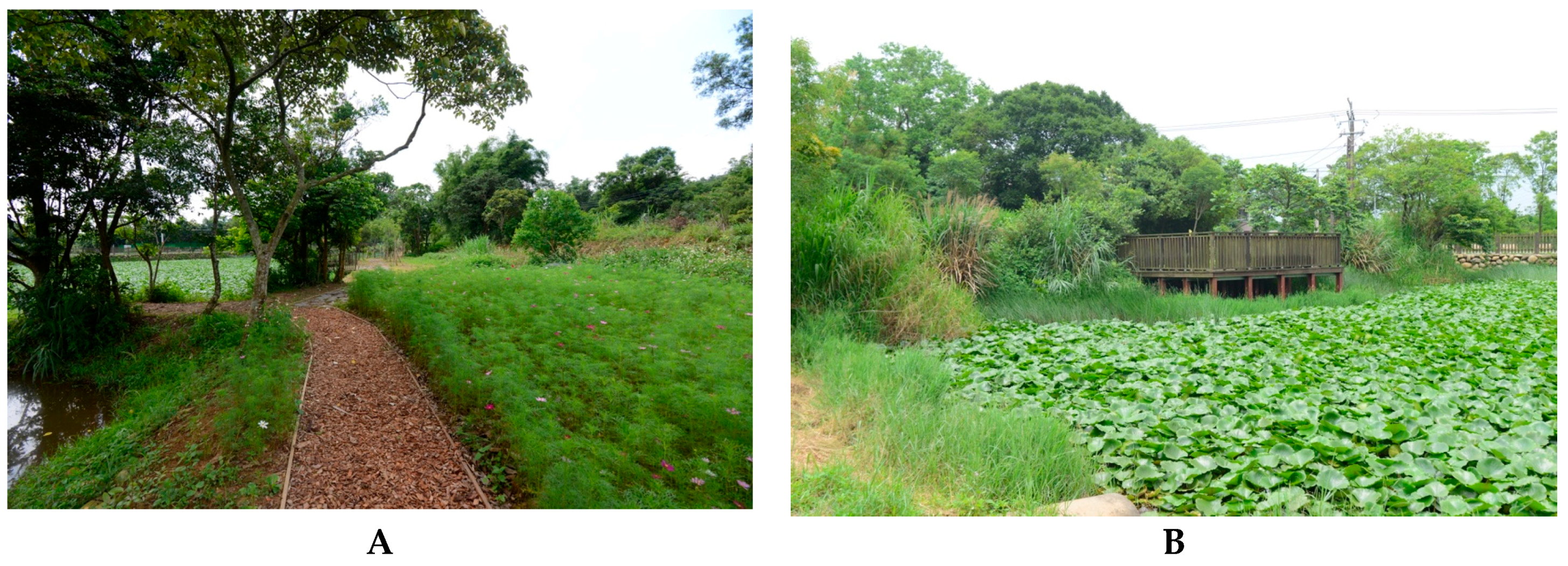 Sustainability 09 02097 g006