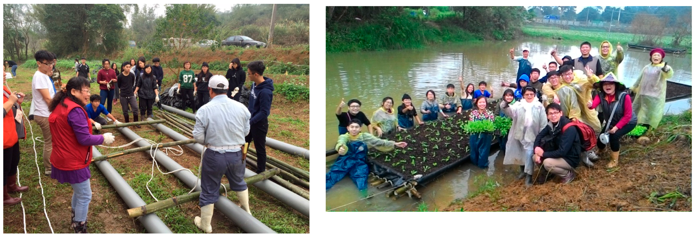 Sustainability 09 02097 g012