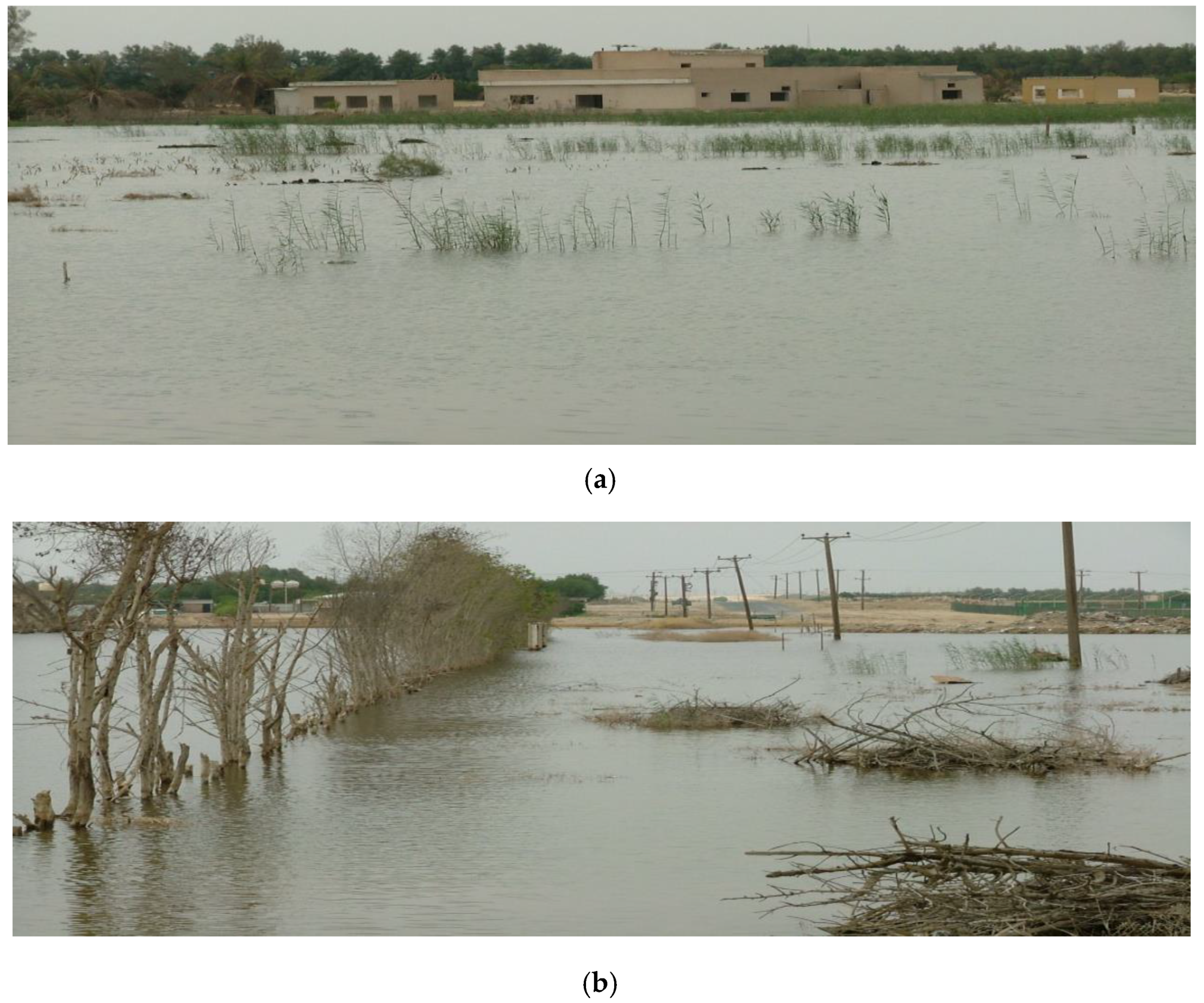 Sustainability 09 02131 sch001 550