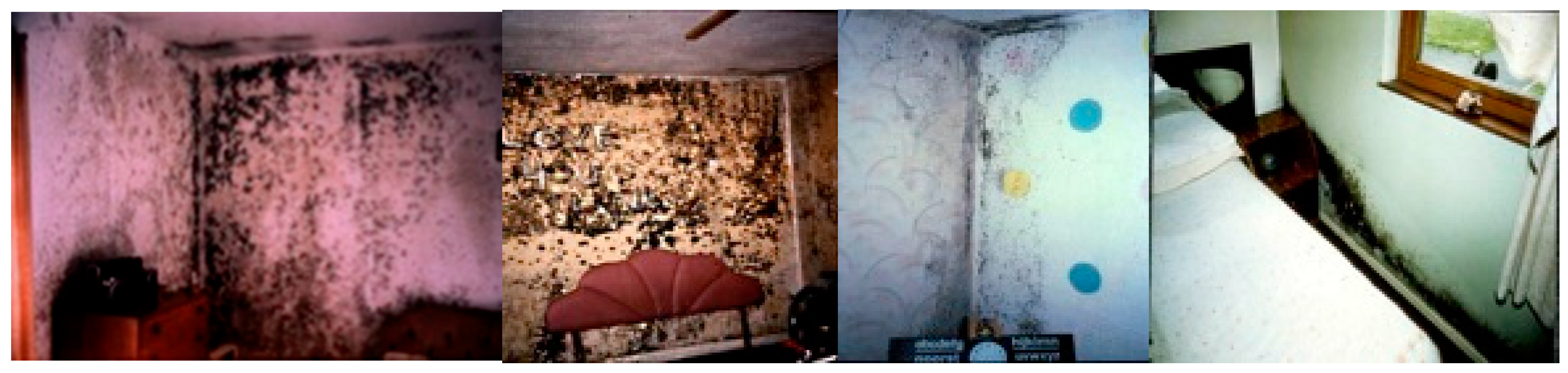 Sustainability 10 00018 g016