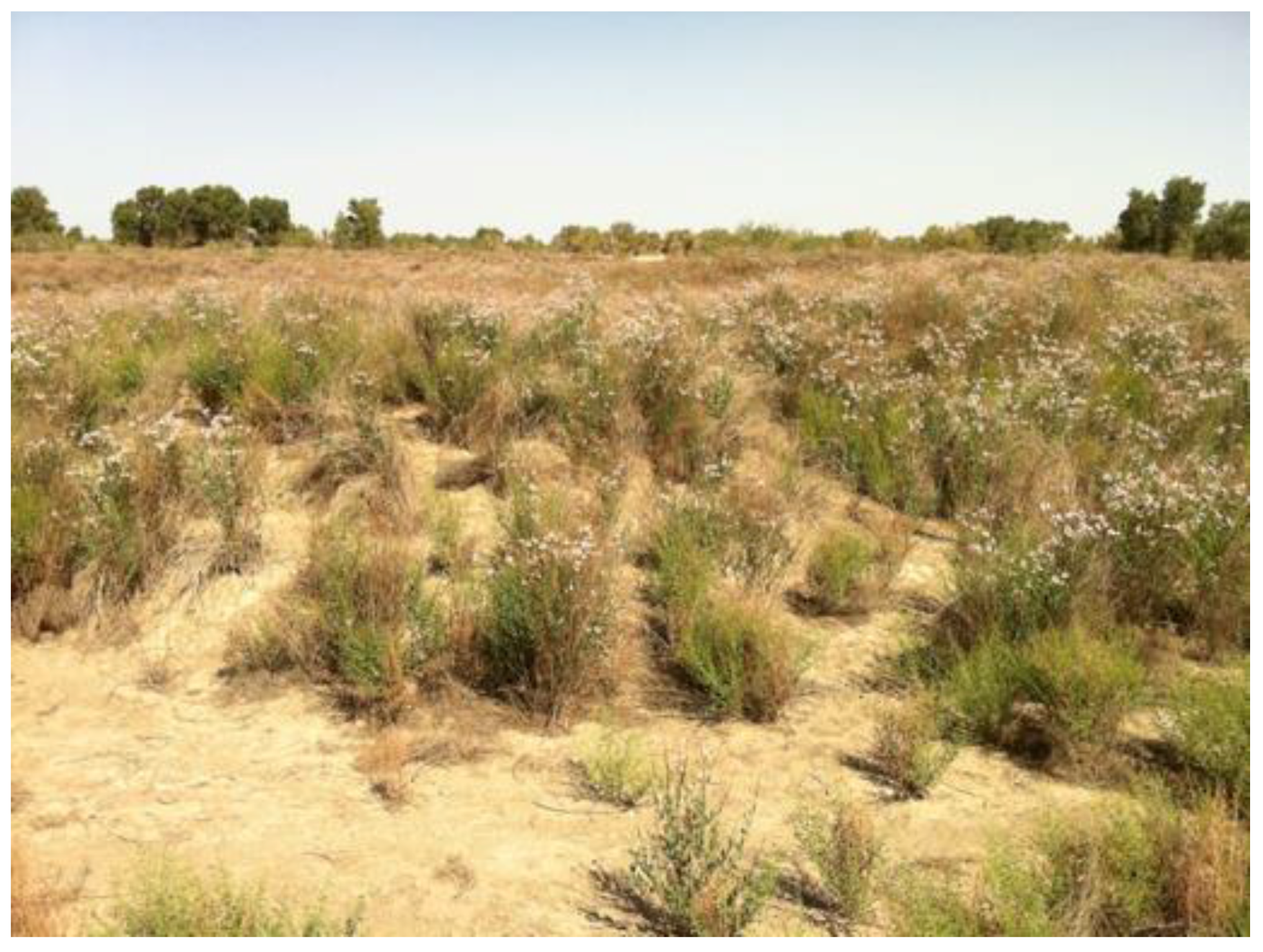 Sustainability 10 00035 g004