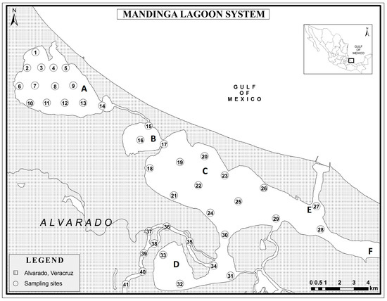 Sustainability Free Full Text Hexachlorocyclohexanes Cyclodiene Methoxychlor And Heptachlor In Sediment Of The Alvarado Lagoon System In Veracruz Mexico Sustainability Free Full Text Hexachlorocyclohexanes Cyclodiene Methoxychlor And Heptachlor In Sediment Of The Alvarado Lagoon System In Veracruz Mexico