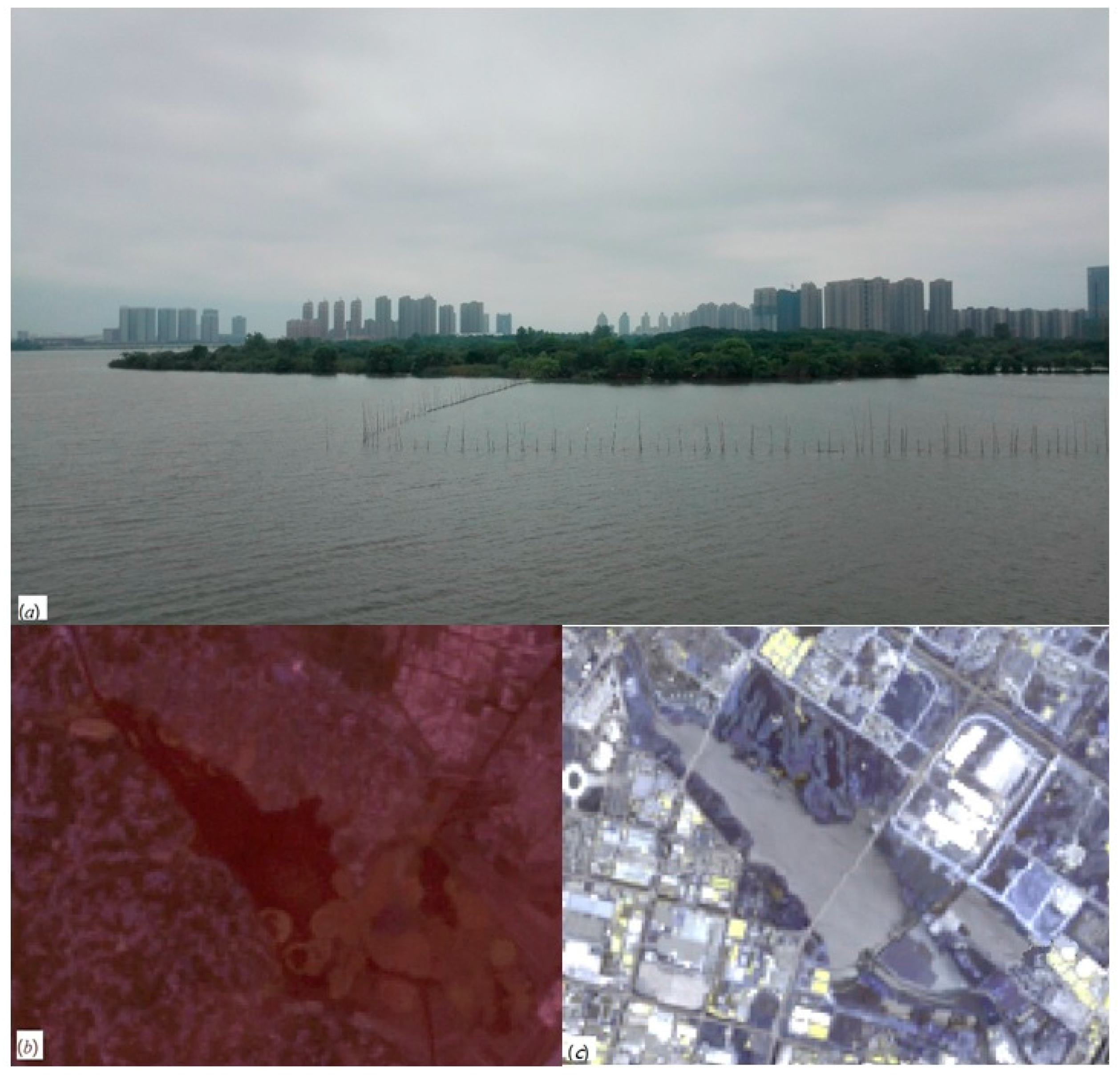 Sustainability Free Full Text Lake Area Analysis Using Exponential Smoothing Model And Long Time Series Landsat Images In Wuhan China Html