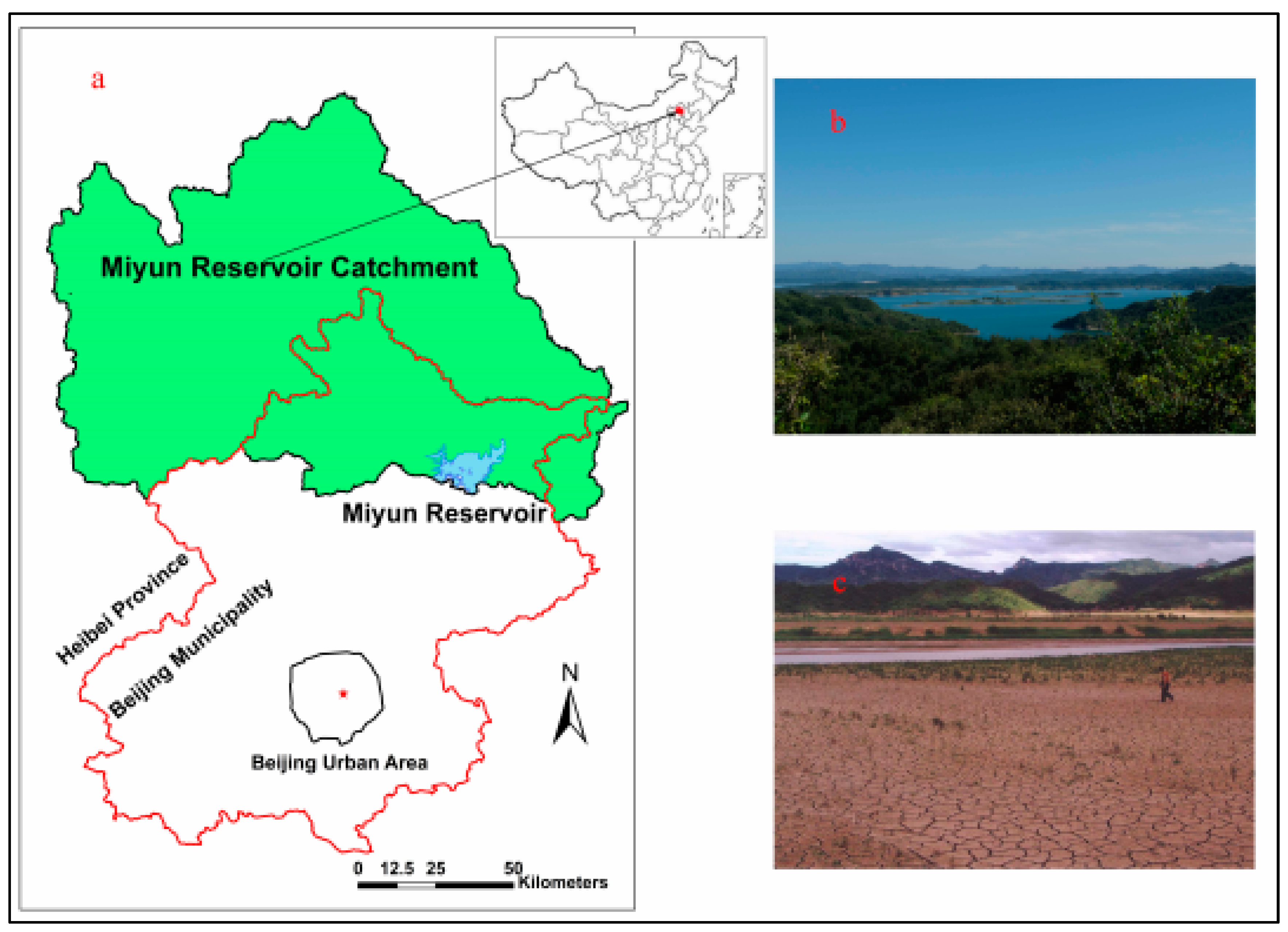 Reservoir link energy bhd share price