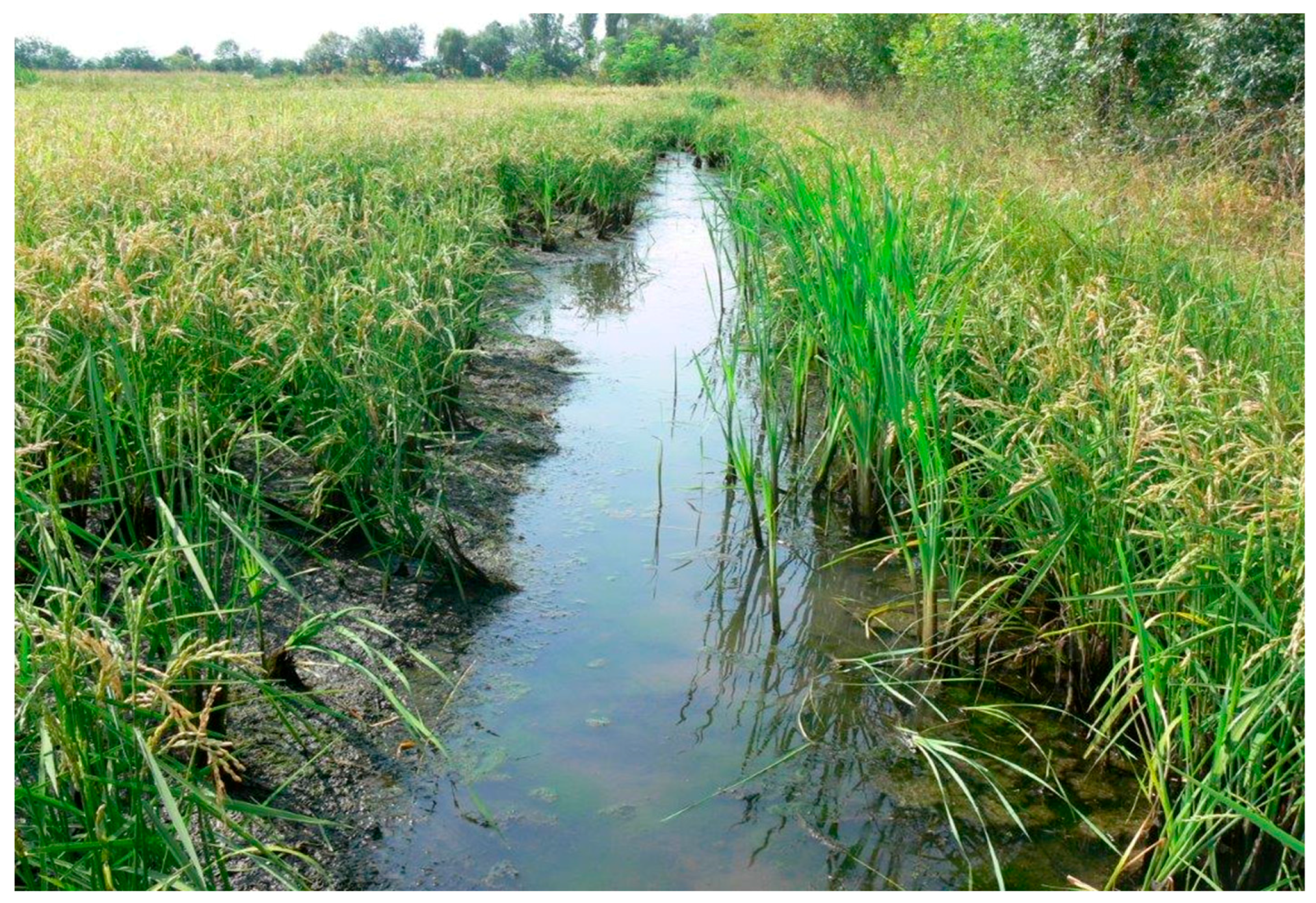 Sustainability 10 00177 g001