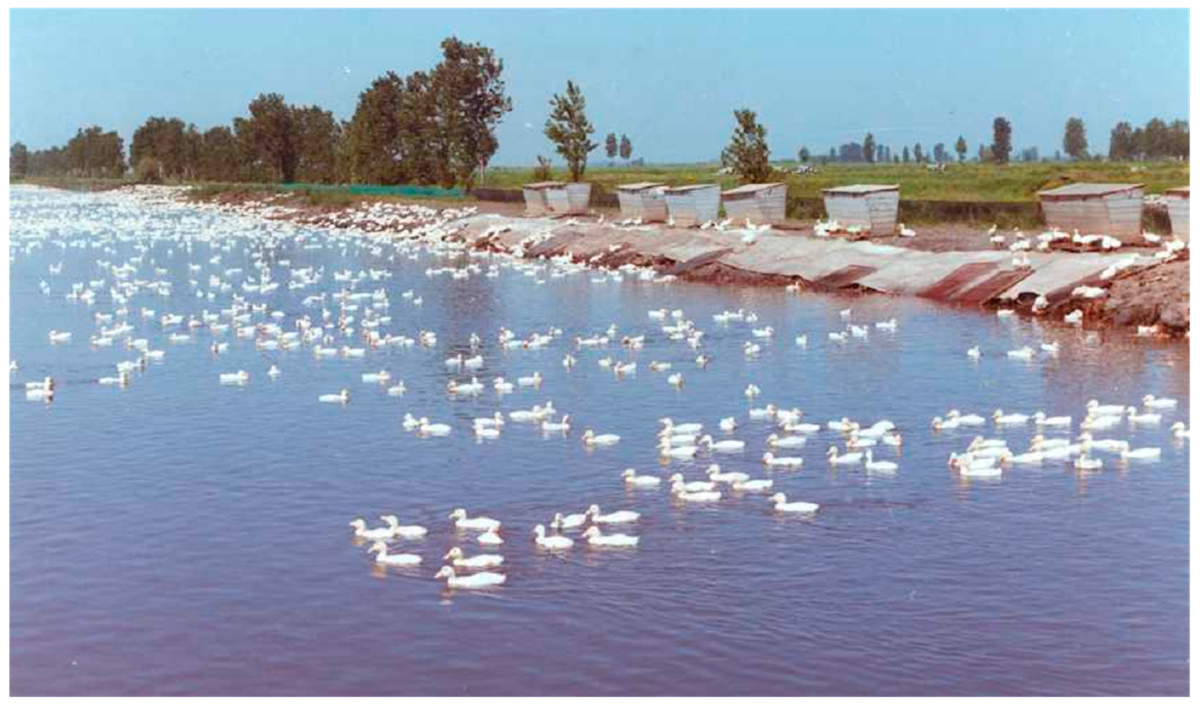 Sustainability 10 00177 g002