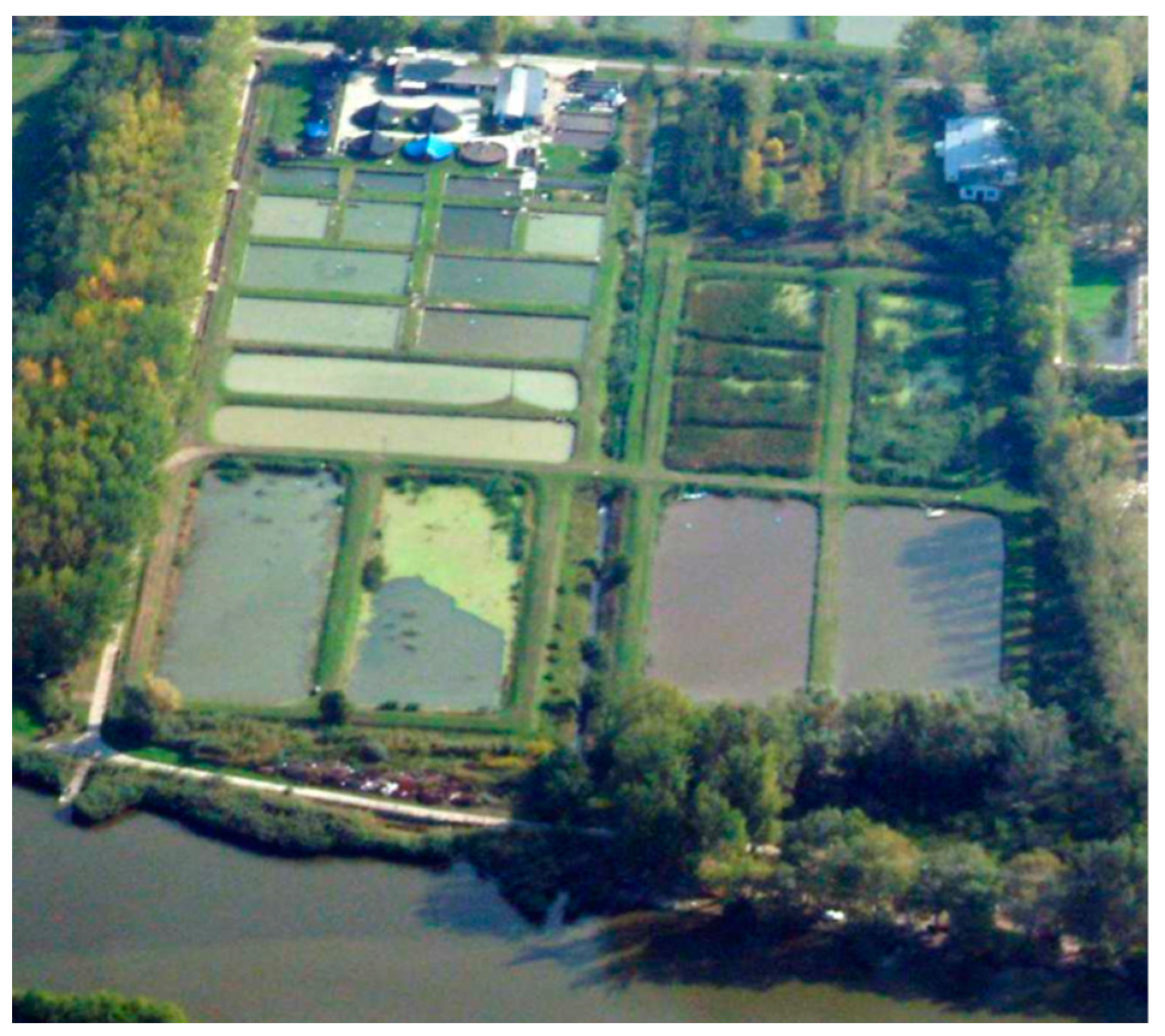 Sustainability 10 00177 g004