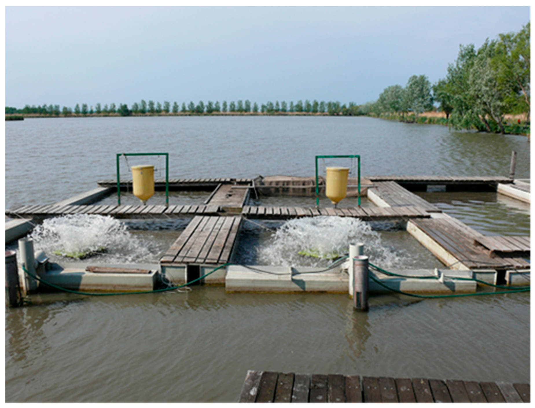 Sustainability 10 00177 g006