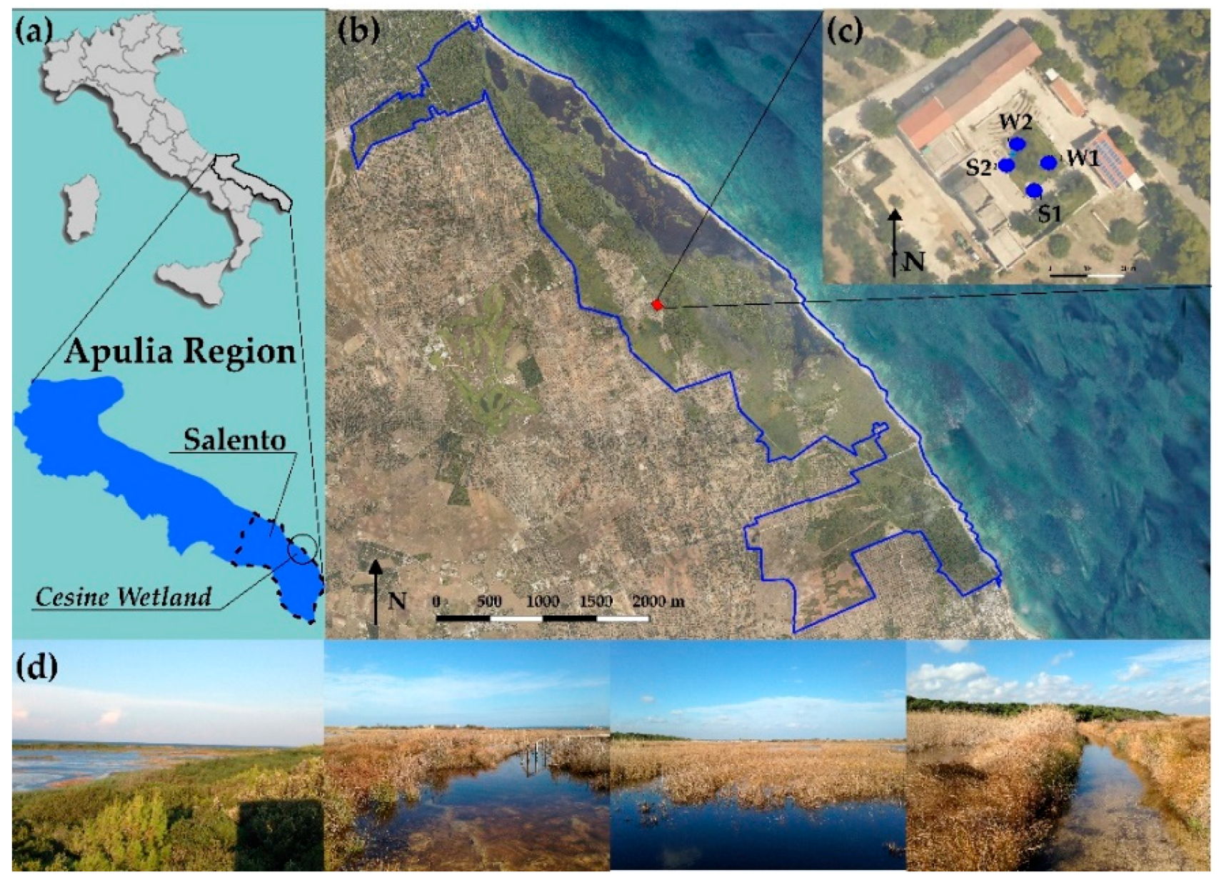 Sustainability 10 00303 g001