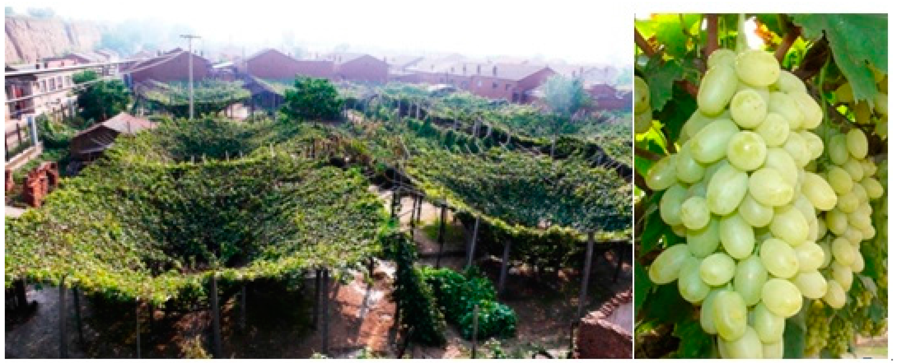 Sustainability 10 00361 g002 550