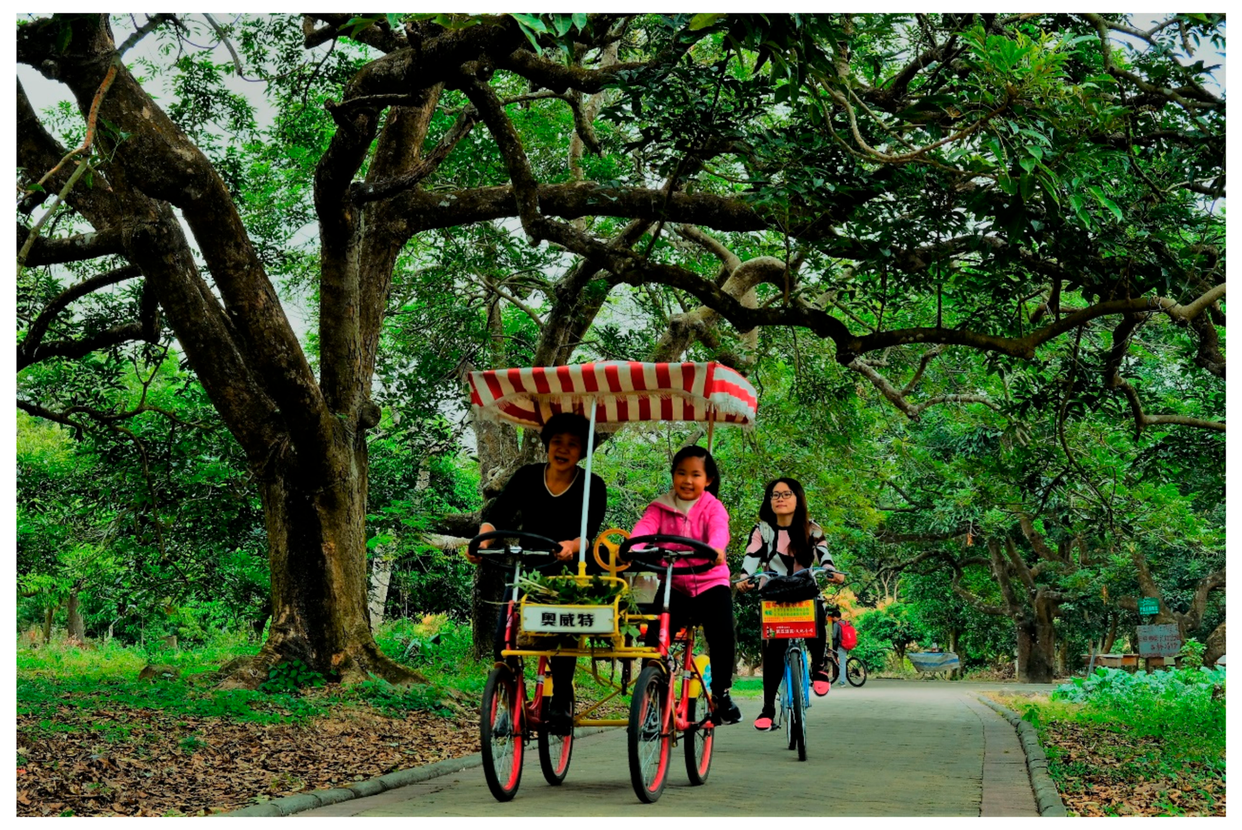 Sustainability 10 00434 g002