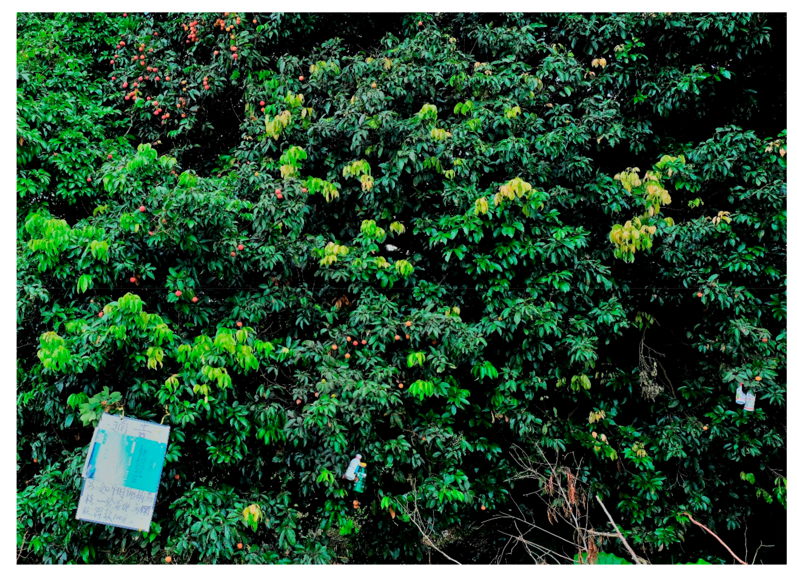 Sustainability 10 00434 g005