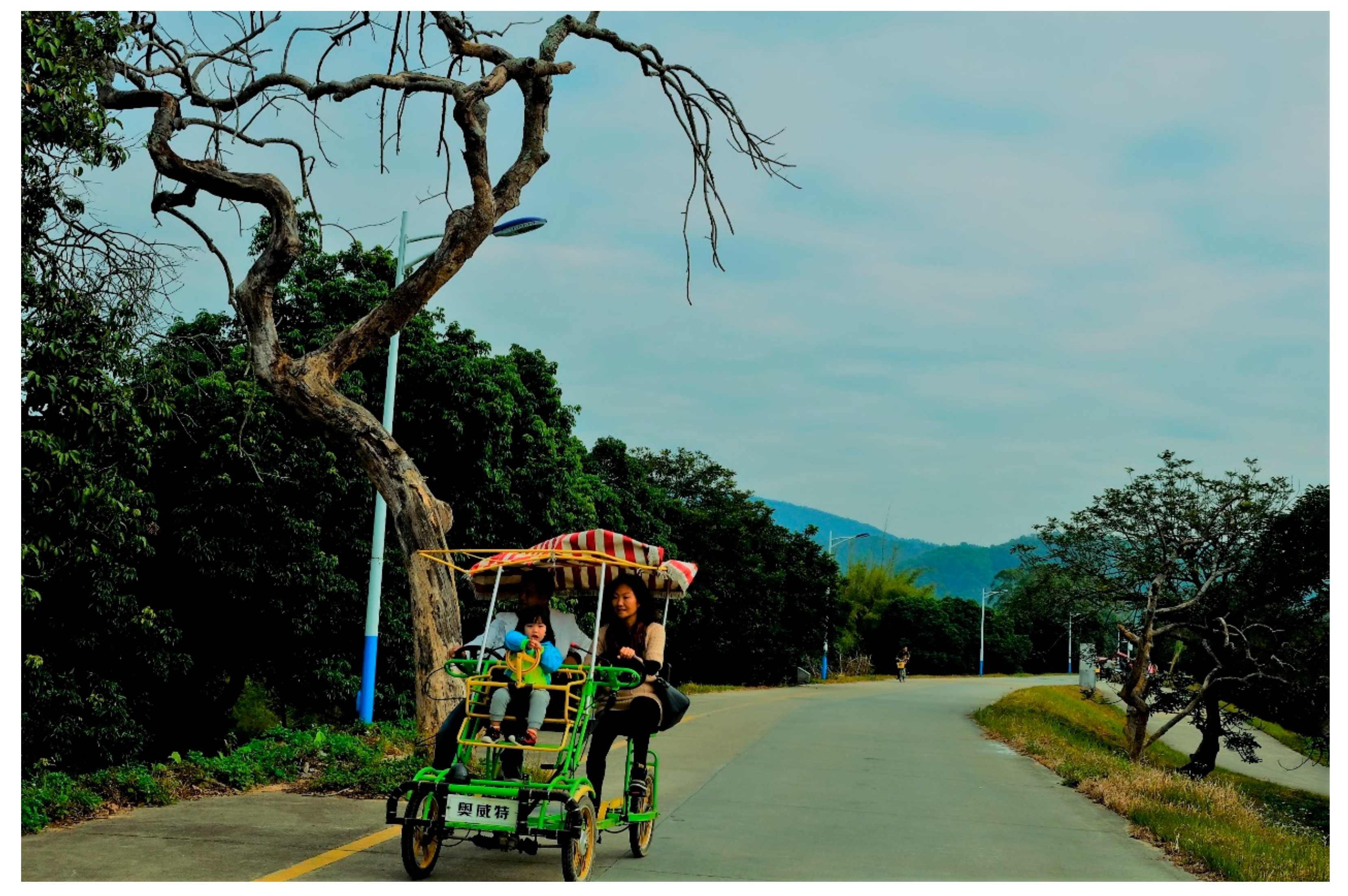 Sustainability 10 00434 g006