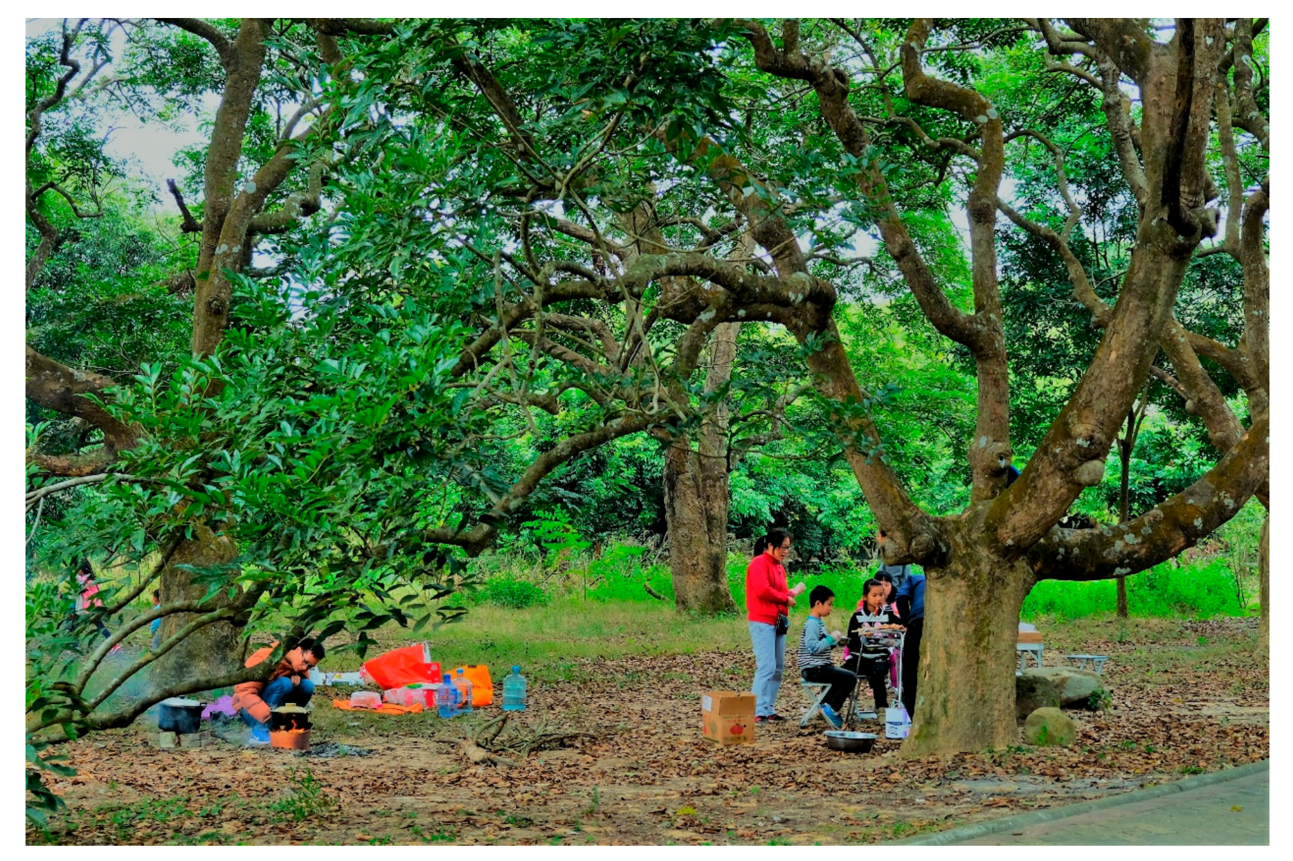 Sustainability 10 00434 g007