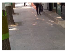 Sustainability 10 00519 i019