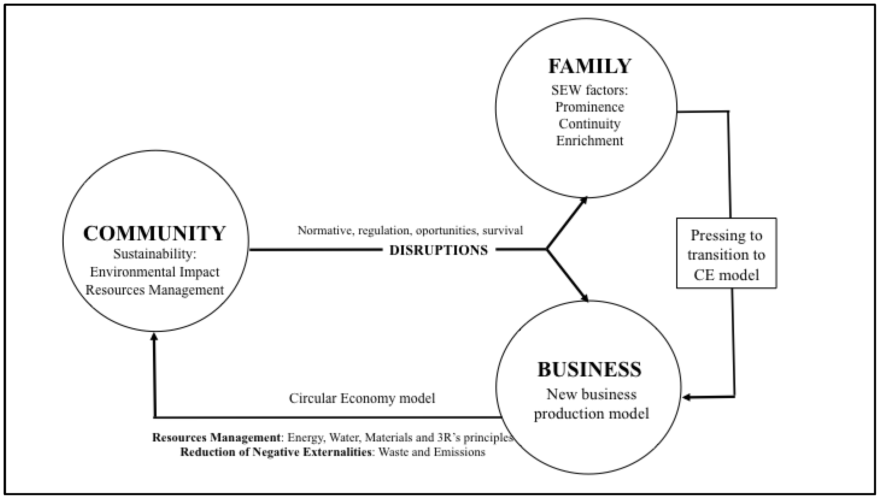 Sustainability Free Full Text Family Businesses Transitioning