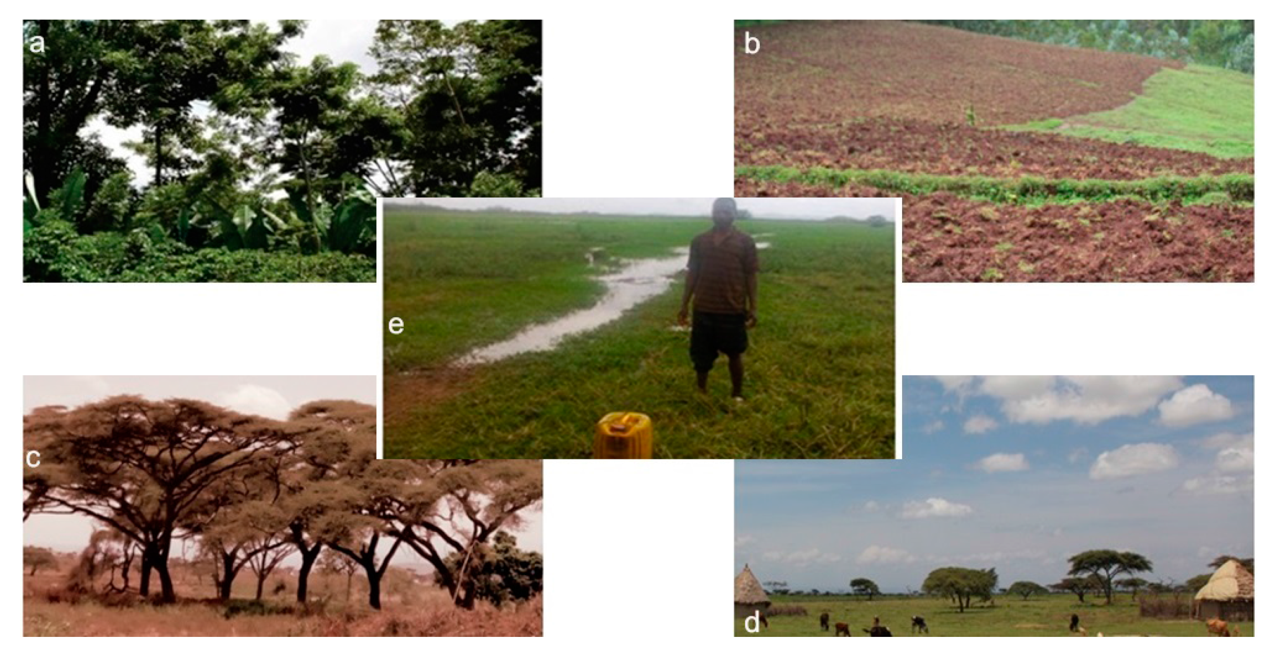 Sustainability 10 00703 g003