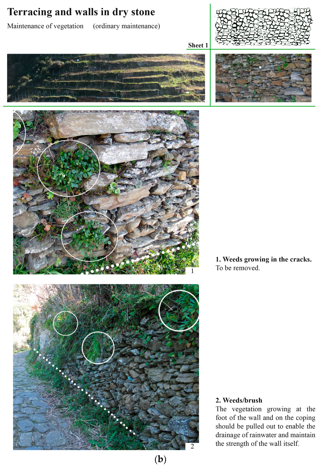 Sustainability 10 00742 g008b 550