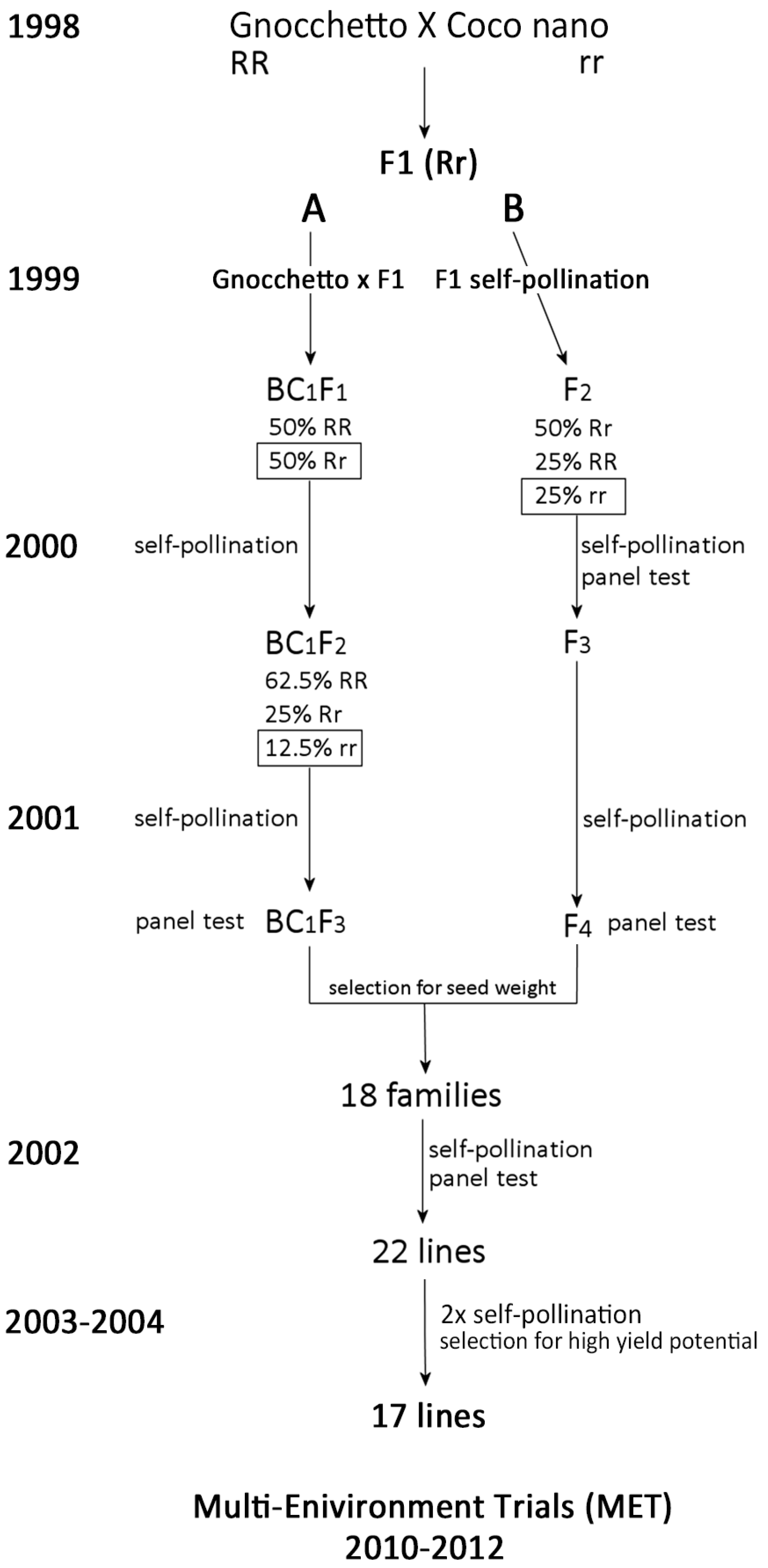 Sustainability 10 00777 g001