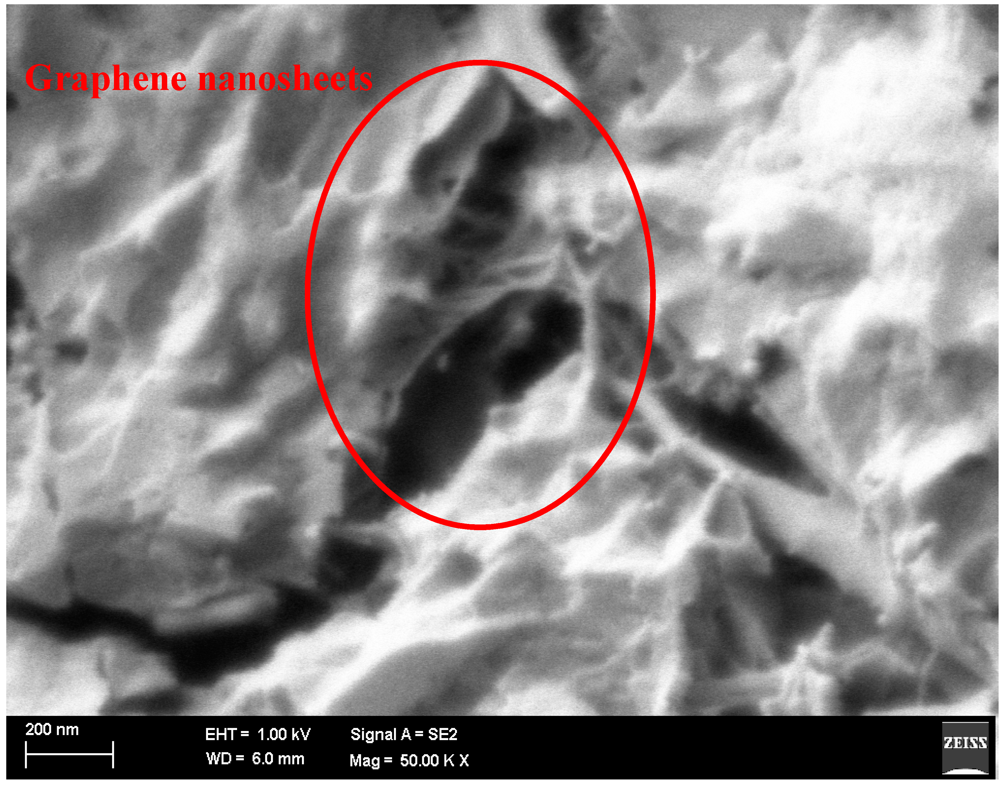 Sustainability 10 00822 g009 550